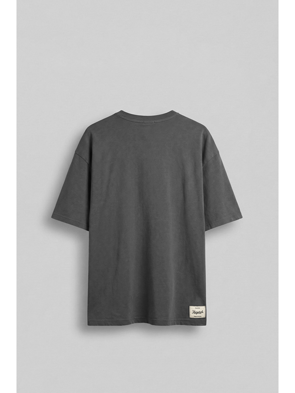 Gri Erkek Oversize Nakışlı Yıkamalı T-Shirt Füme-1