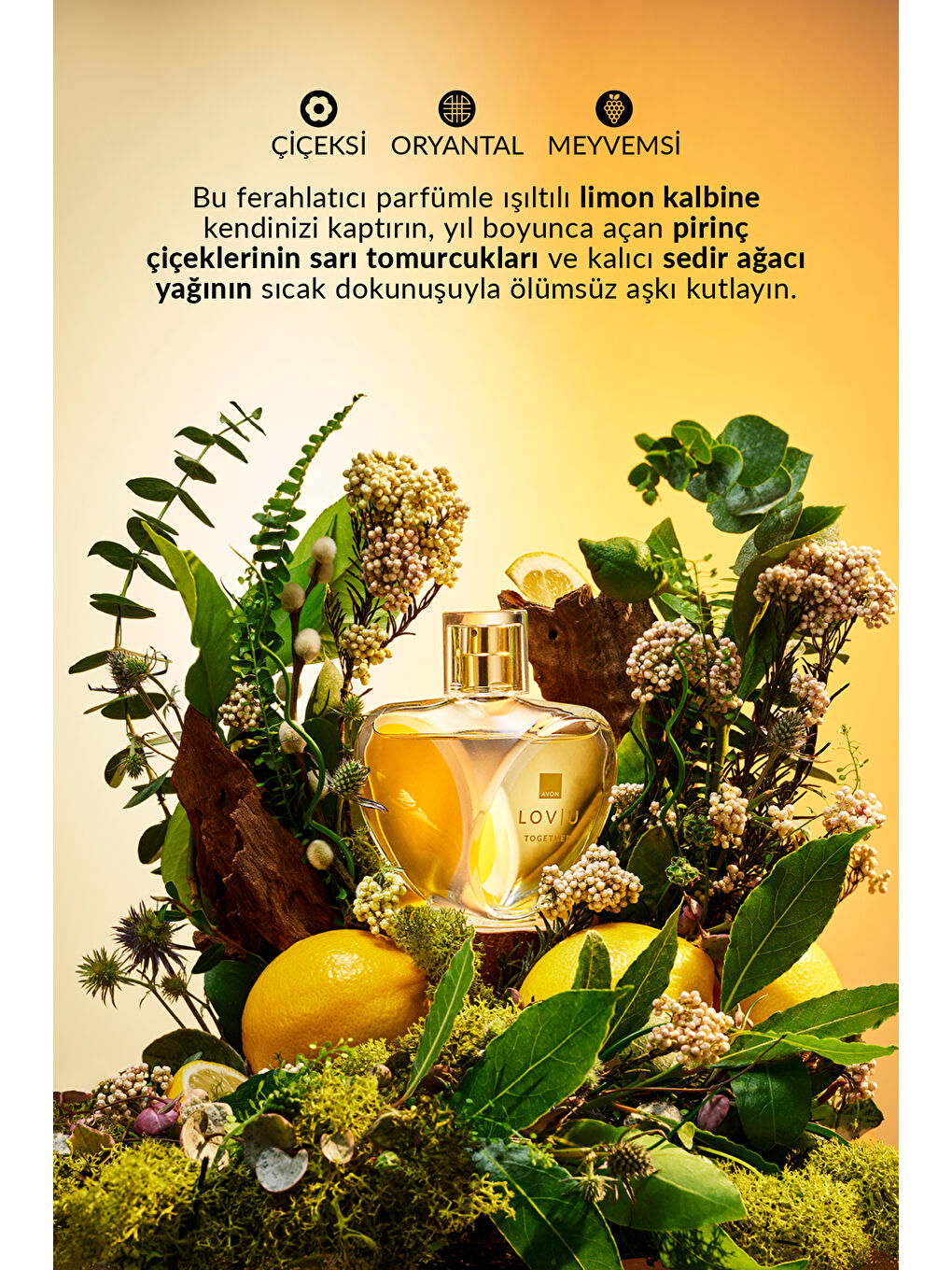 Lov U Together Kadın Parfüm Edp 50 Ml. İkili Paket-2