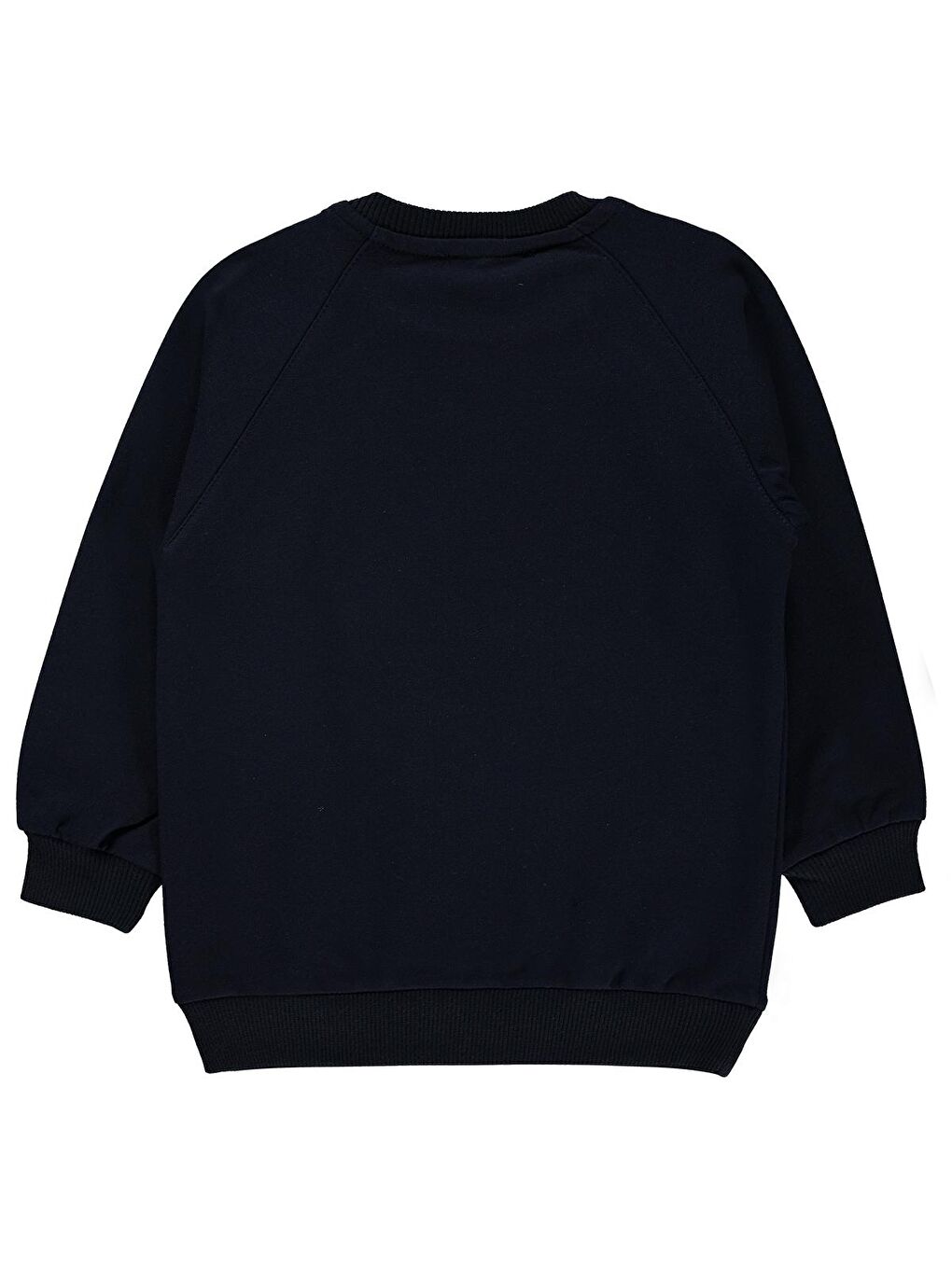 Boys Erkek Çocuk Sweatshirt 2-5 Yaş Lacivert-1