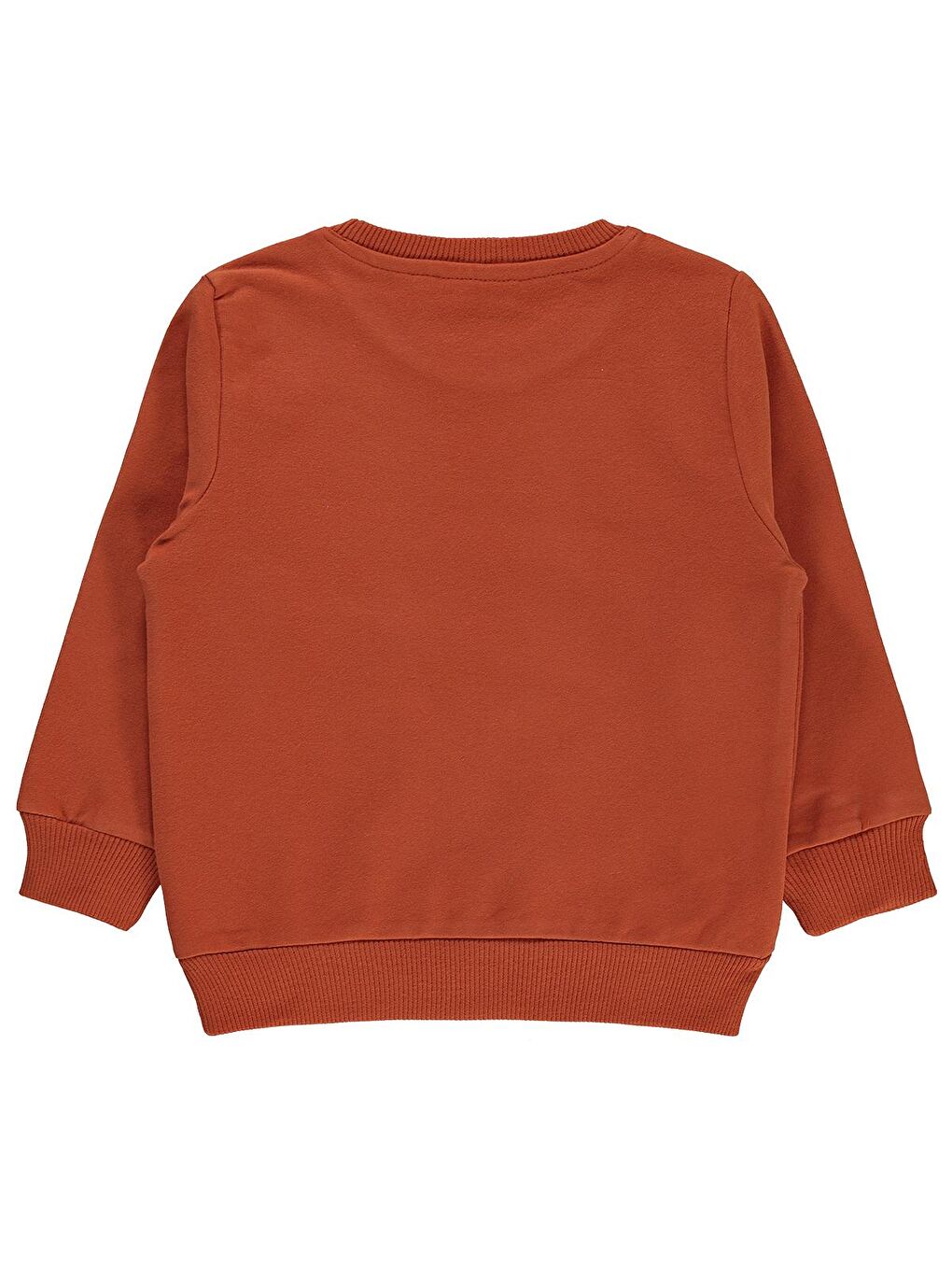 Turuncu Boys Erkek Çocuk Sweatshirt 2-5 Yaş Bakır-1