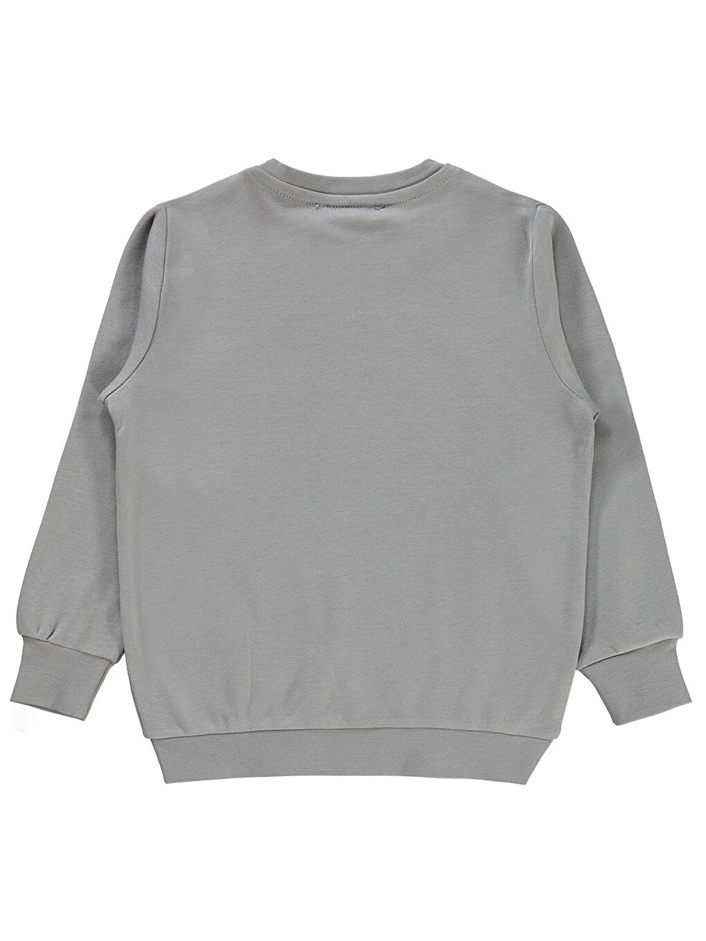 Boys Erkek Çocuk Sweatshirt 2-5 Yaş Gri-1