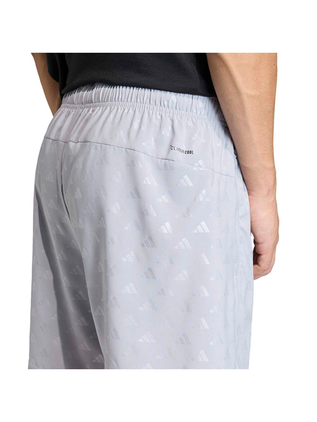 Workout Essentials Brandlove Erkek Gri Şort-3