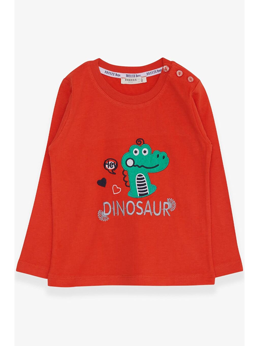 Erkek Bebek Uzun Kollu Tişört Dinozor Nakışlı Turuncu (9 Ay-2 Yaş)
