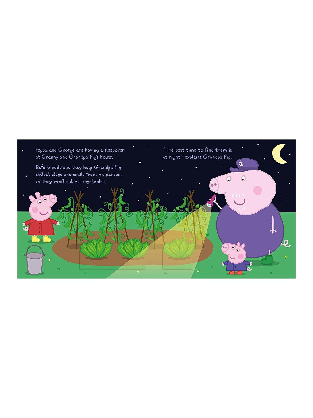 Peppa Pig Beyaz-Renklibaskı : Night Creatures Lift the Flap Book - 1