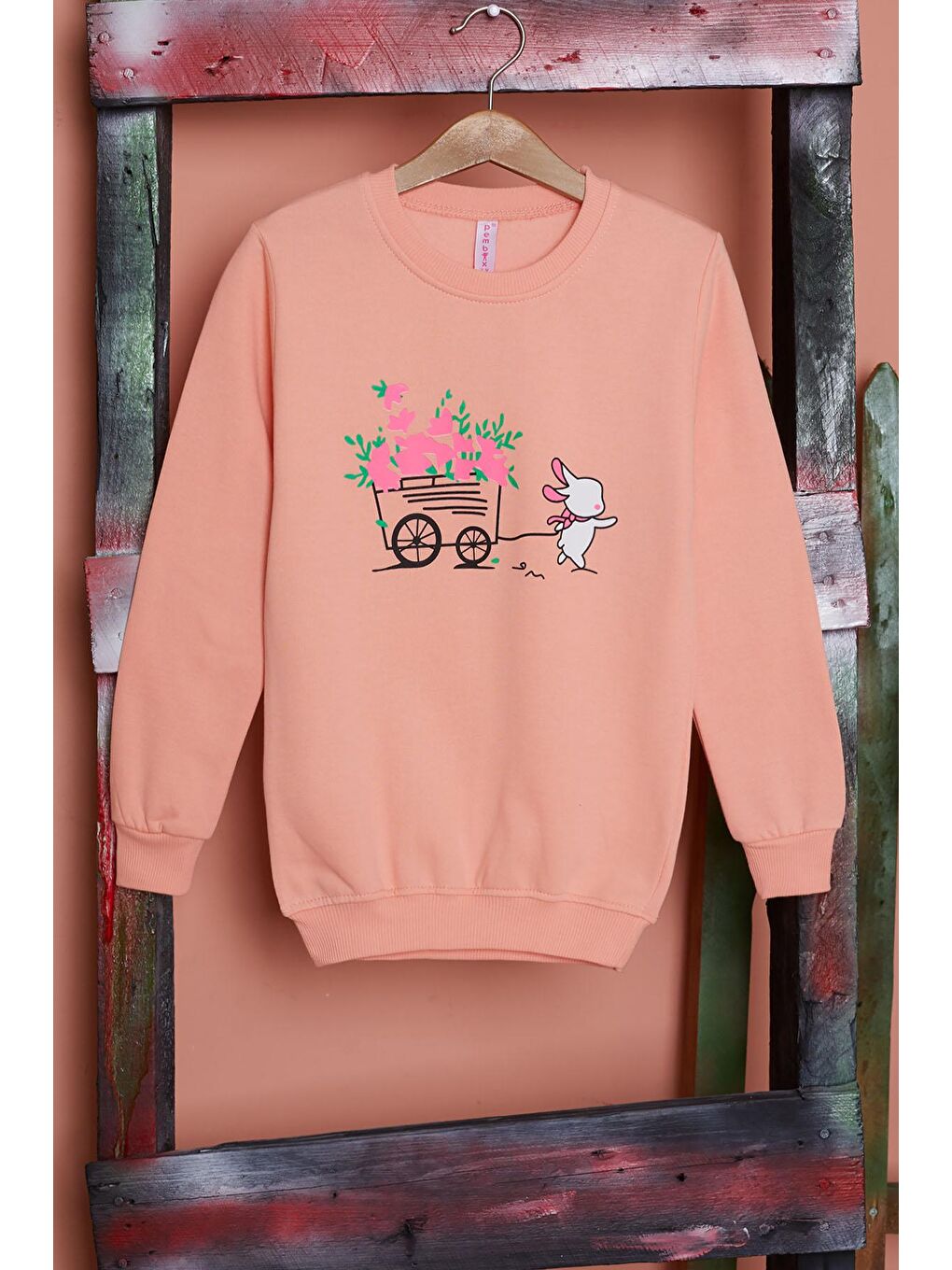 Pembe Somon Çiçekli Tavşan Baskılı Kız Çocuk Sweatshirt 17278-1