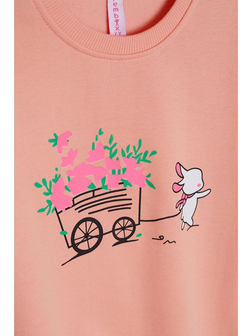 Pembe Somon Çiçekli Tavşan Baskılı Kız Çocuk Sweatshirt 17278-3