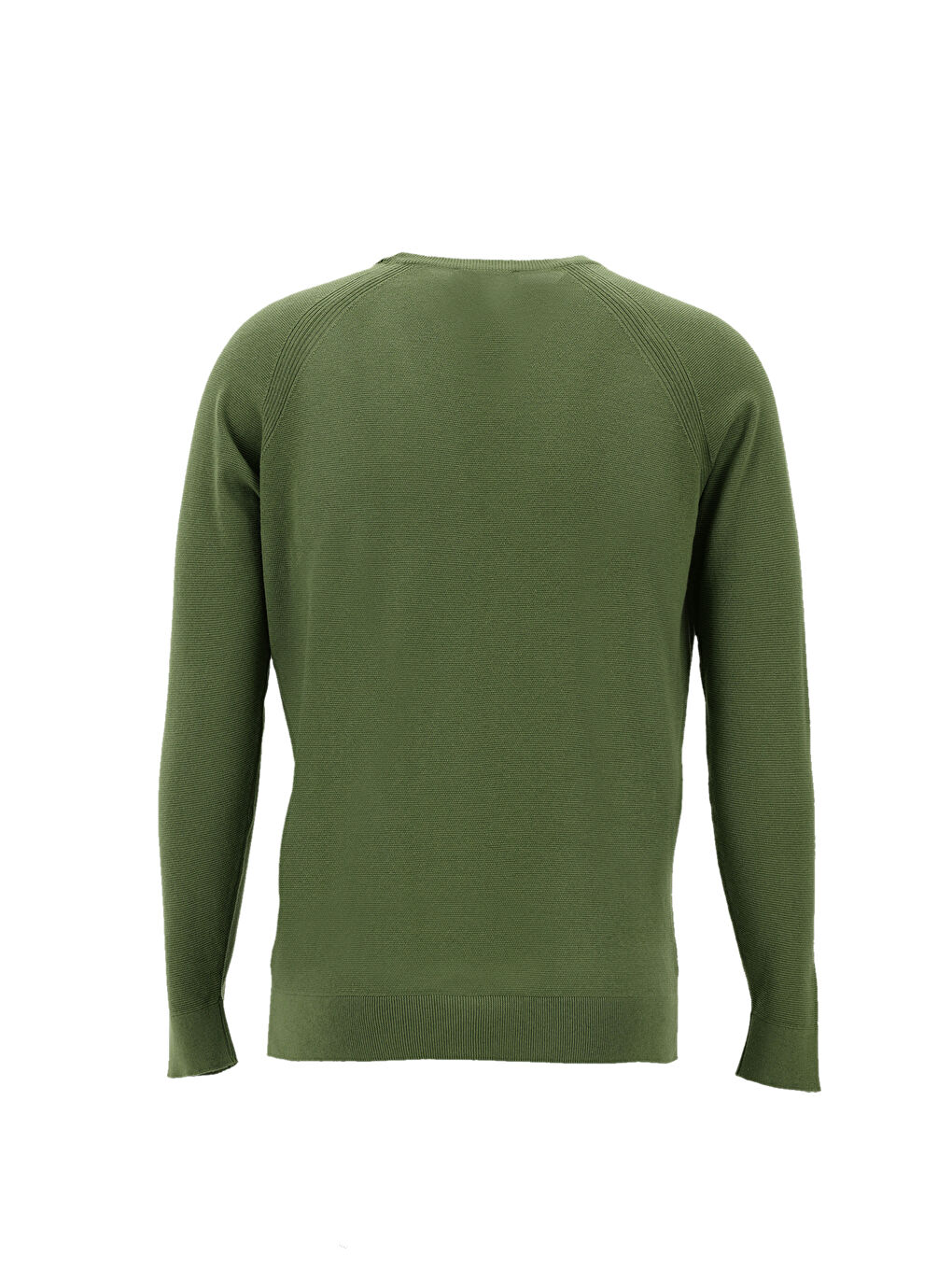 Yeşil Bisiklet Yaka Slim Fit Dar Kesim Pamuklu Triko Kazak-1