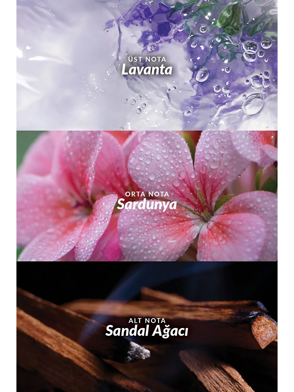 Wild Country Erkekler için Saç ve Vücut Şampuanı 250 Ml. İkili Paket-3