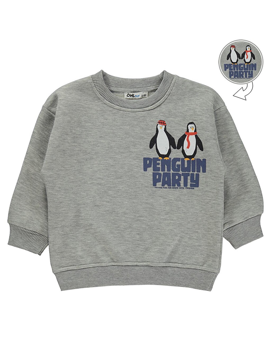 Boys Penguın Party Baskılı 2-5 Yaş Sweatshirt - Gri