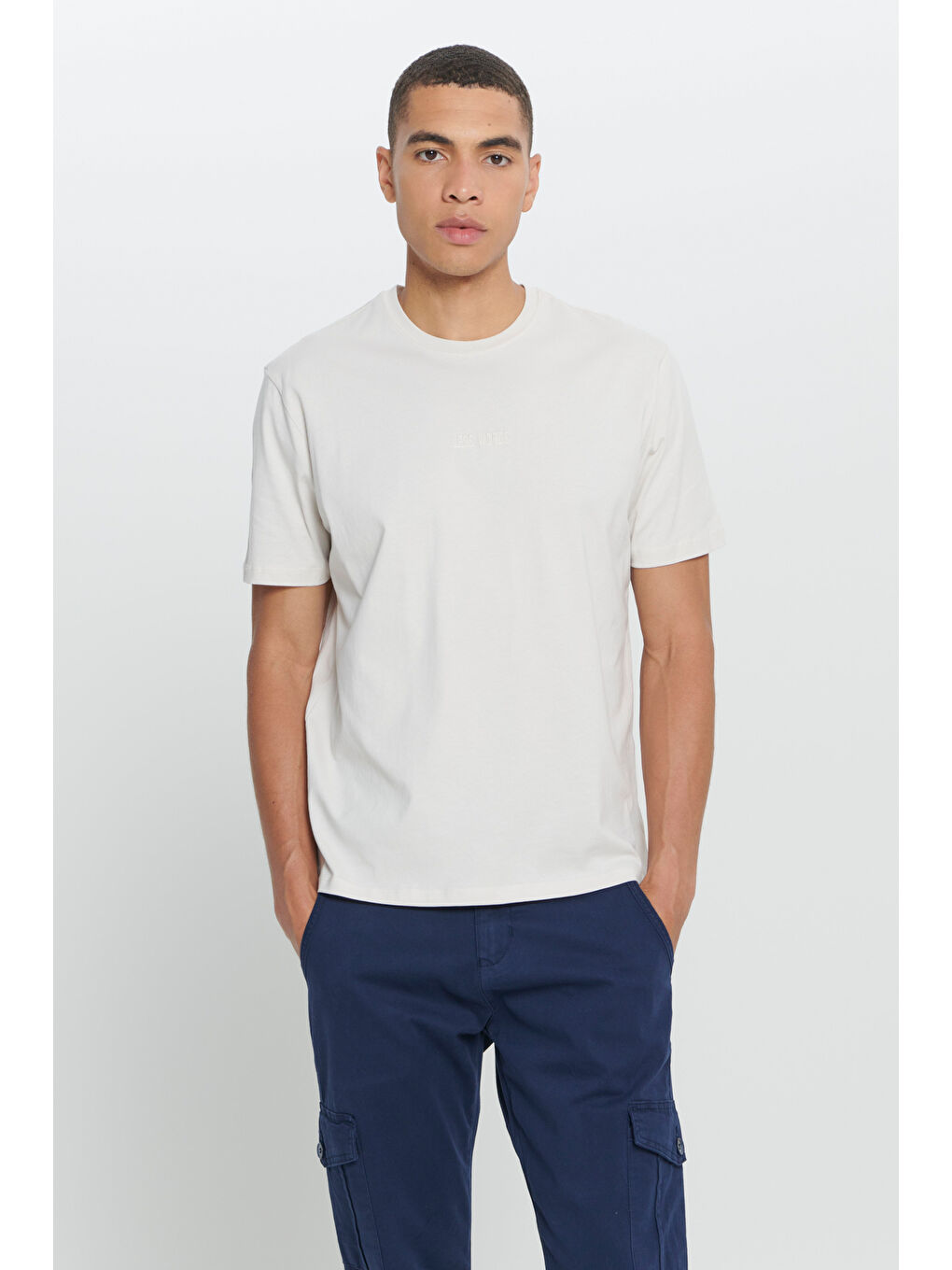 Bej Erkek Taş %100 Pamuk Standart Fit Normal Kesim Bisiklet Yaka Baskılı Tişört