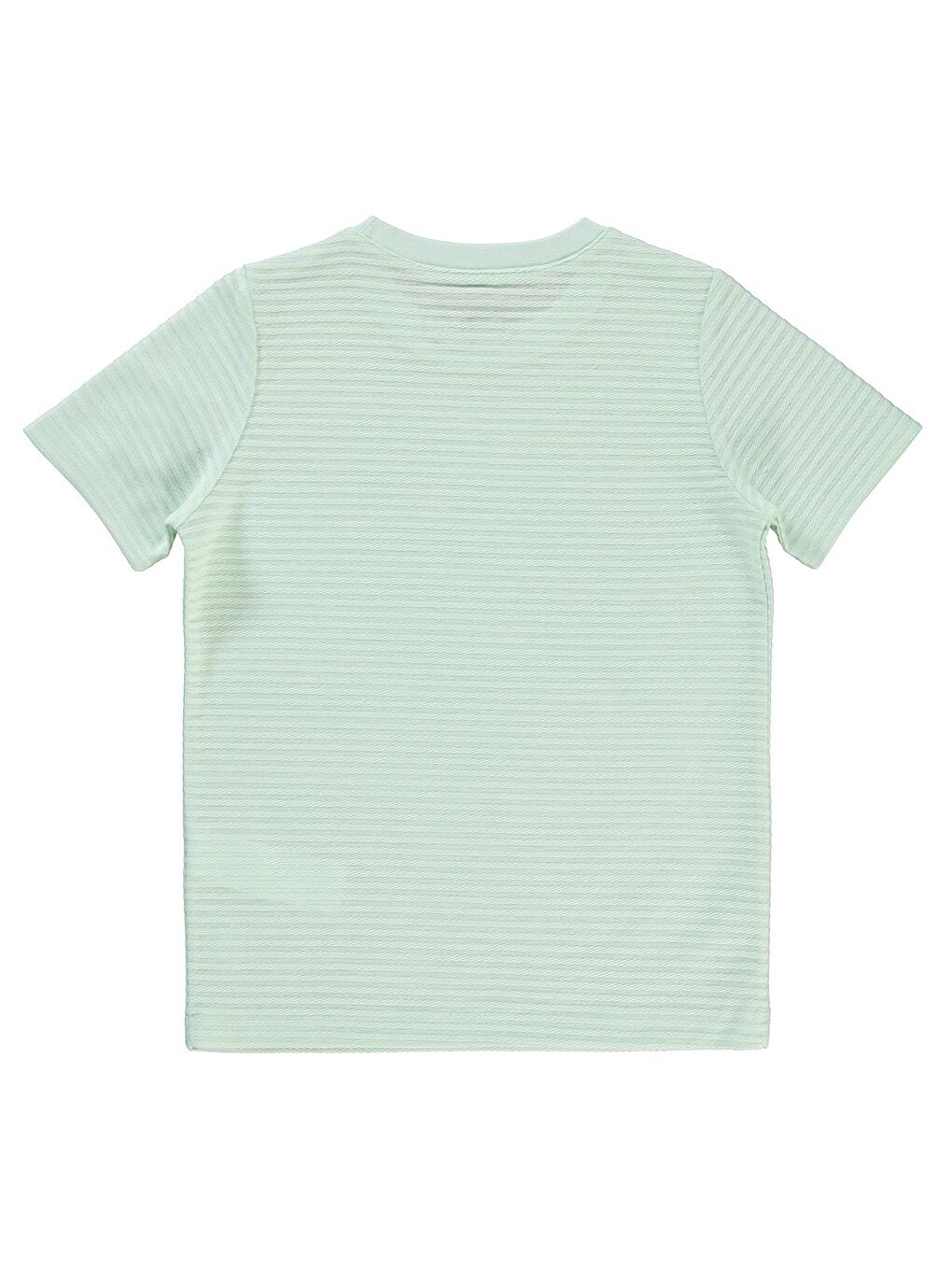 Turkuaz Boys Erkek Çocuk Tişört 6-9 Yaş Su Yeşili-1