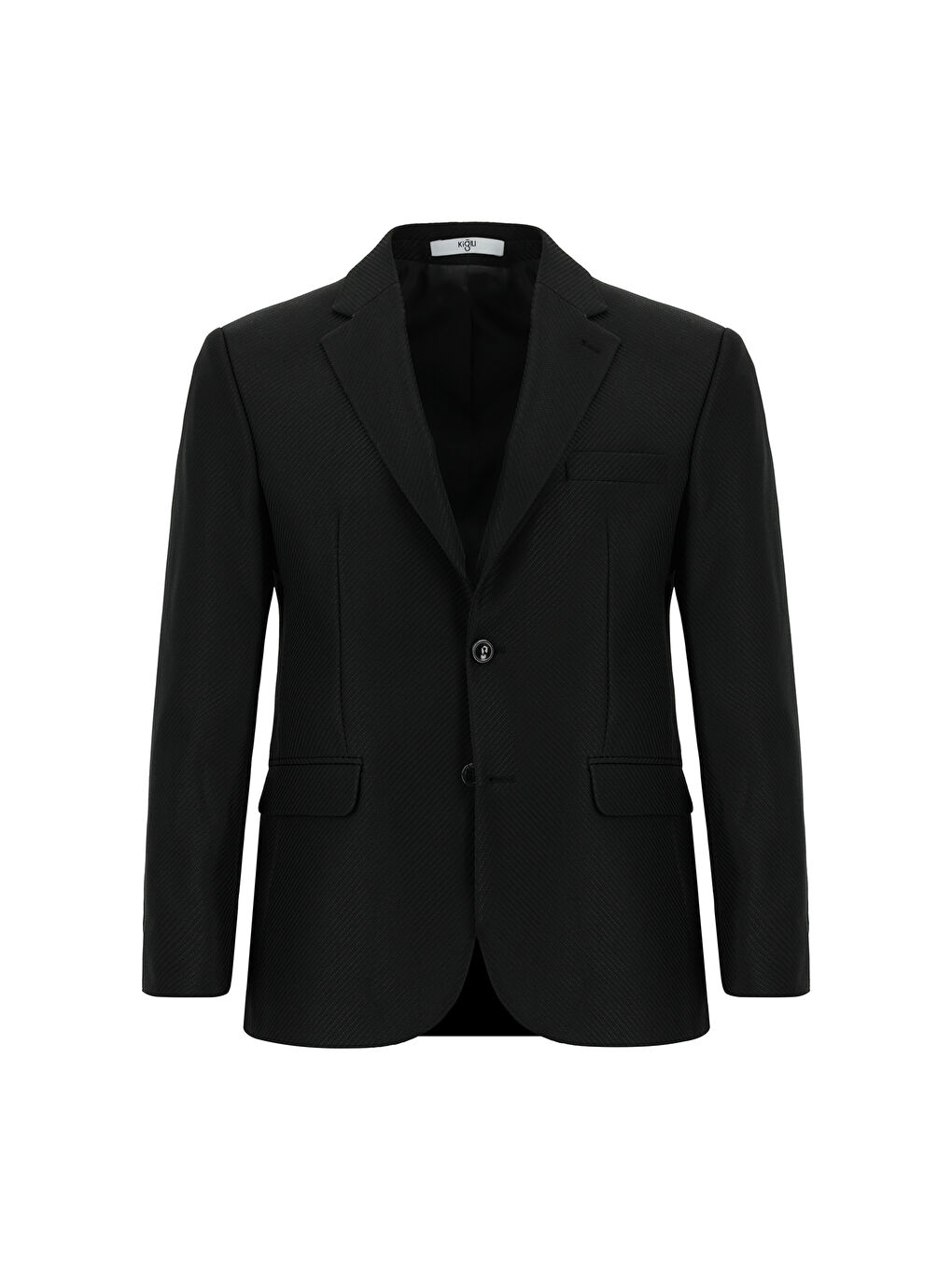Siyah Regular Fit Çizgili Klasik Ceket-5