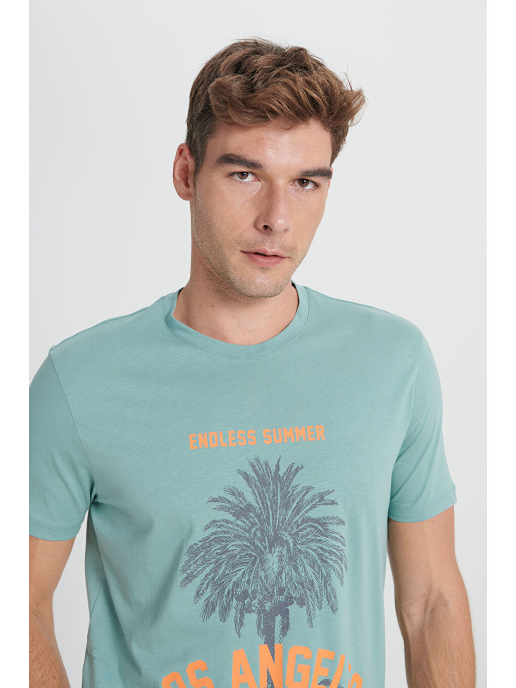 Yeşil Erkek MINT YESIL Standart Fit Normal Kesim %100 Pamuk Bisiklet Yaka Tişört-3