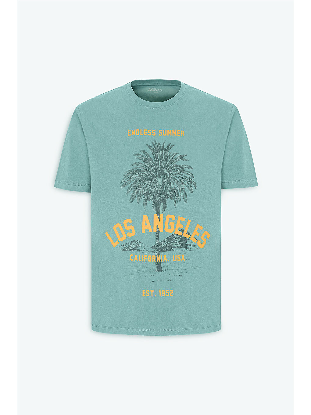 Yeşil Erkek MINT YESIL Standart Fit Normal Kesim %100 Pamuk Bisiklet Yaka Tişört-6