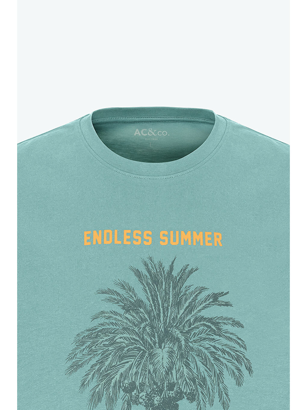 Yeşil Erkek MINT YESIL Standart Fit Normal Kesim %100 Pamuk Bisiklet Yaka Tişört-7