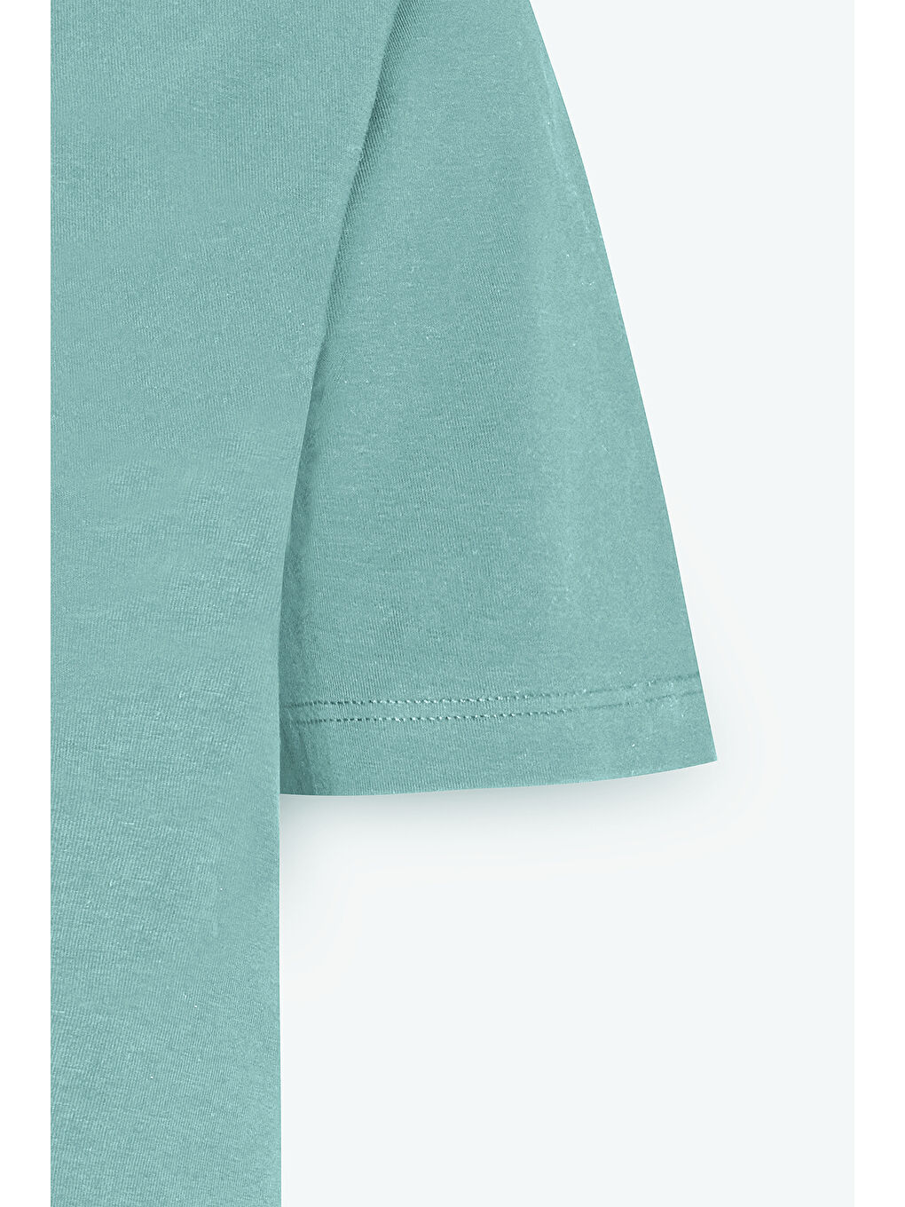 Yeşil Erkek MINT YESIL Standart Fit Normal Kesim %100 Pamuk Bisiklet Yaka Tişört-8