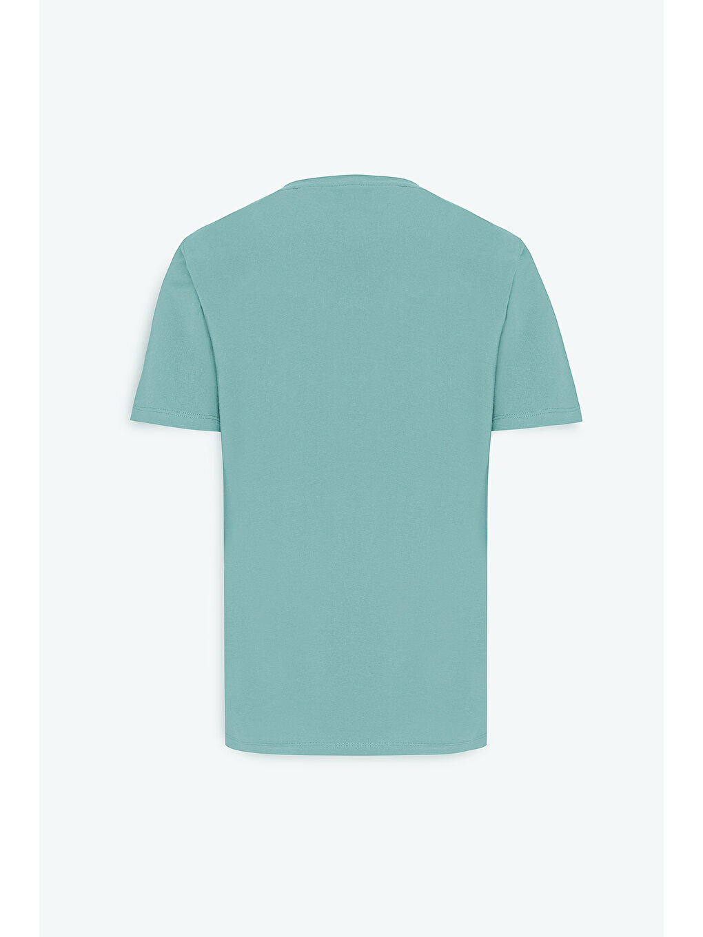 Yeşil Erkek MINT YESIL Standart Fit Normal Kesim %100 Pamuk Bisiklet Yaka Tişört-9