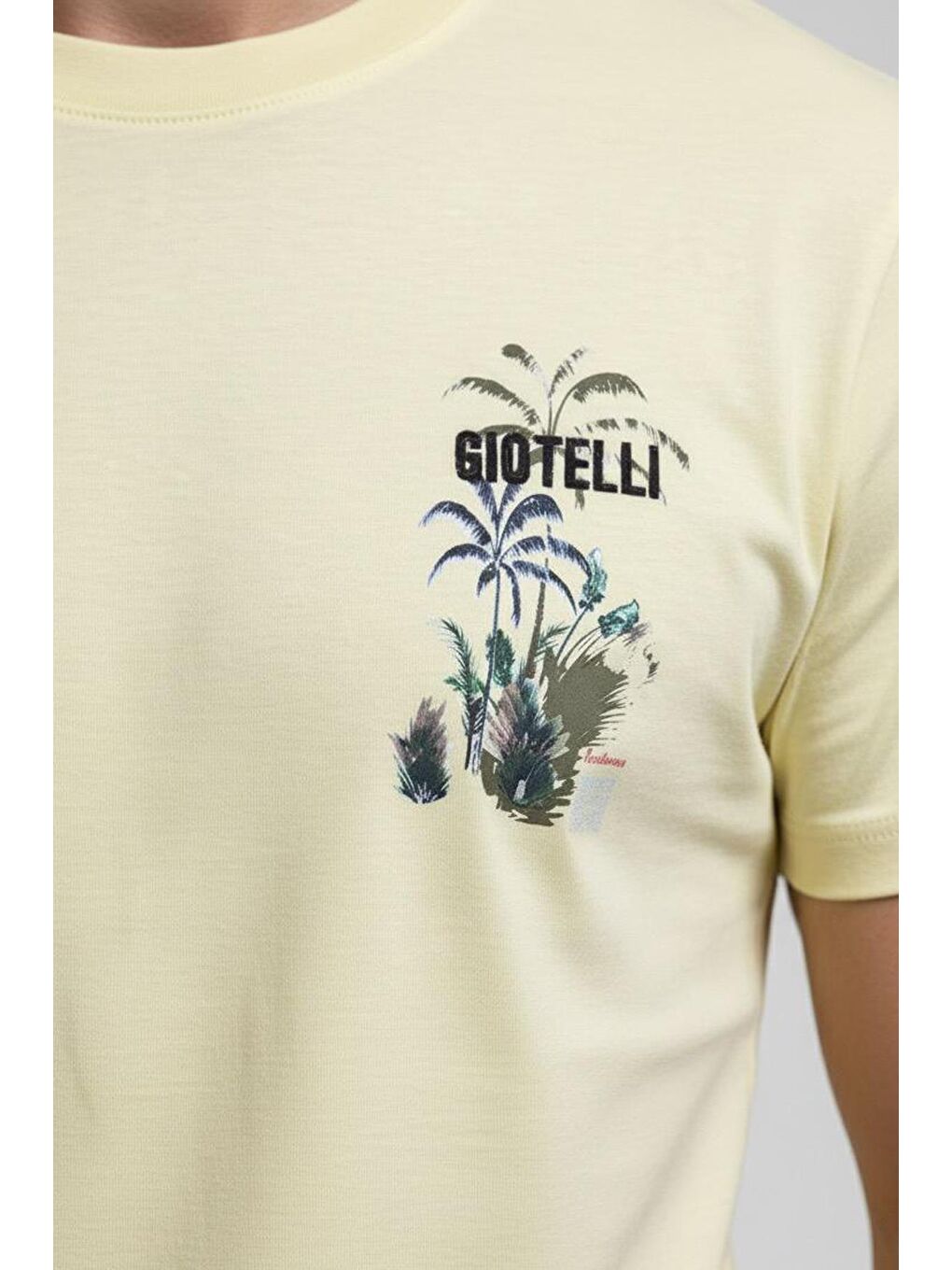 Giotelli Sarı Regular Fit %100 Pamuk Baskılı Bisiklet Yaka Erkek Tişört-2