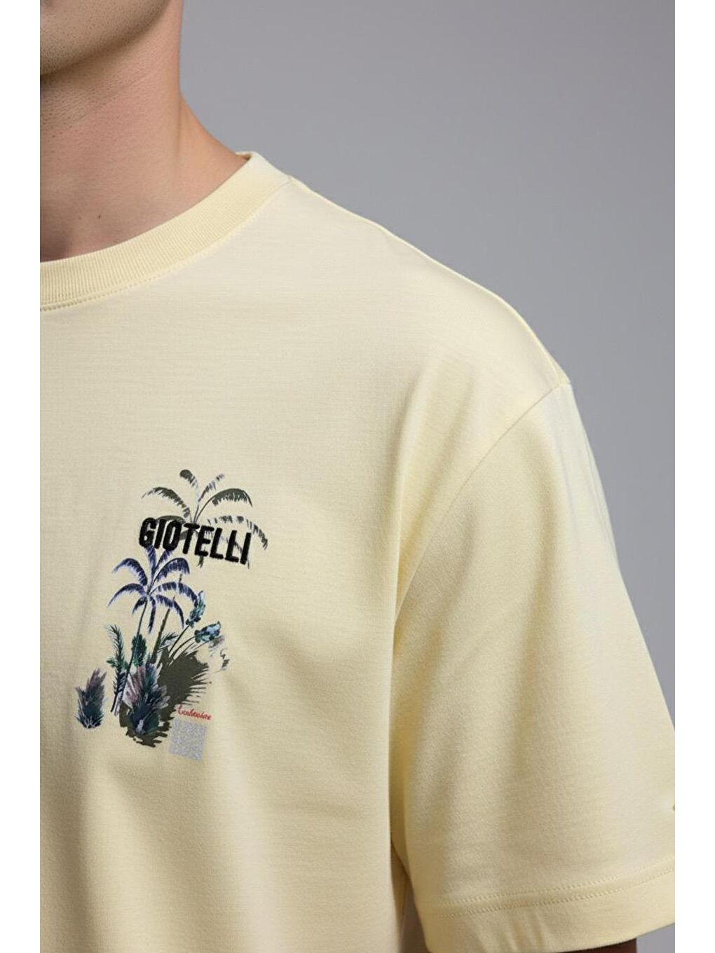 Giotelli Sarı Regular Fit %100 Pamuk Baskılı Bisiklet Yaka Erkek Tişört-5