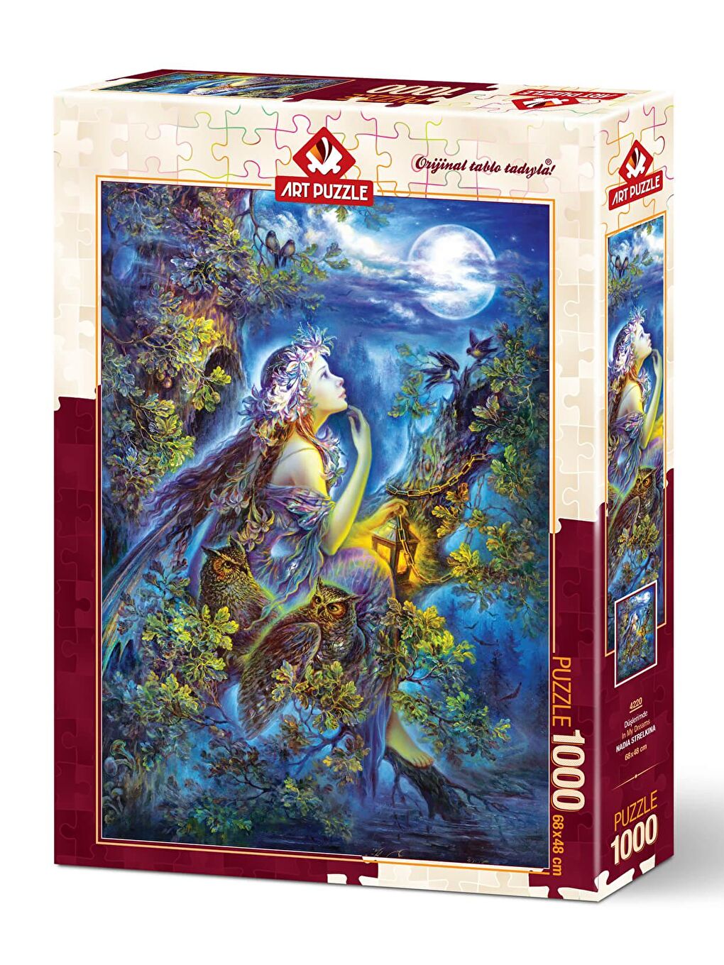 Art Puzzle Karışık 1000 Parça Puzzle Düşlerimde - 1