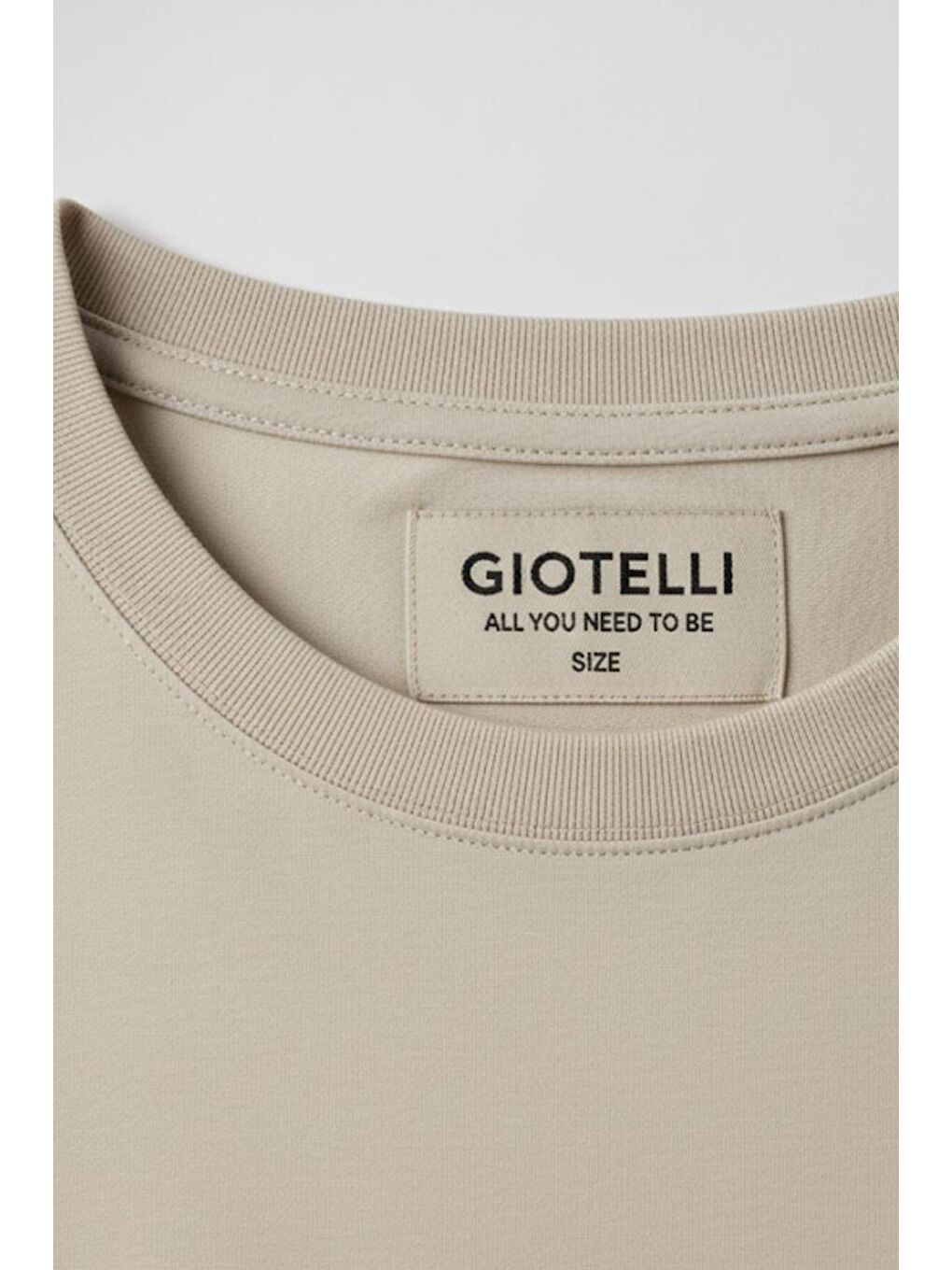 Giotelli Bej Regular Fit %100 Pamuk Bisiklet Yaka Erkek Tişört-4