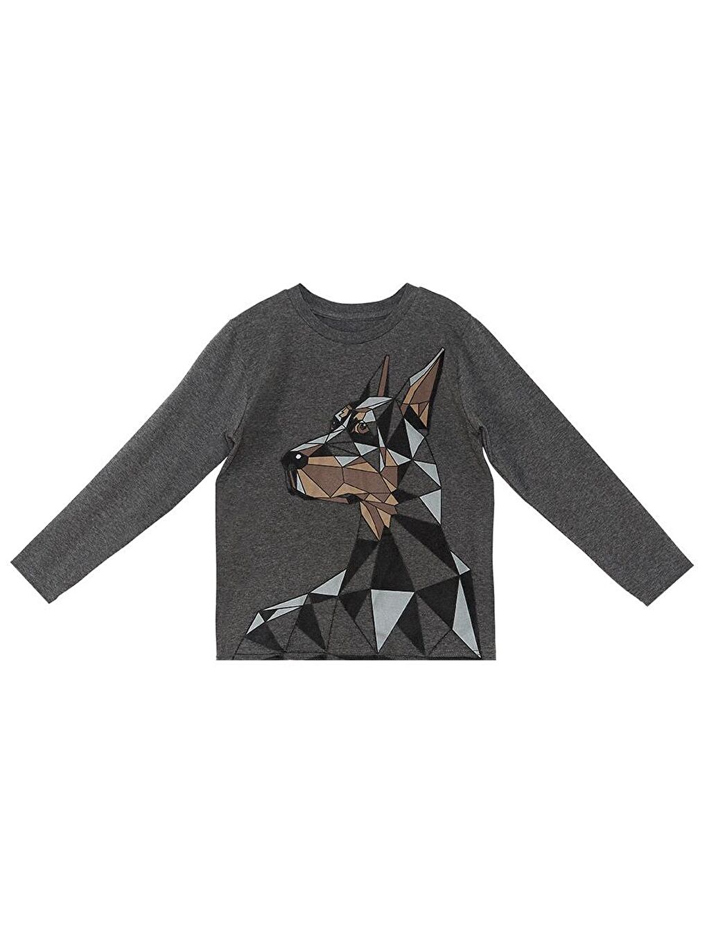 MSHB&G Antrasit Doberman Erkek Çocuk T-shirt Pantolon Takım - 4