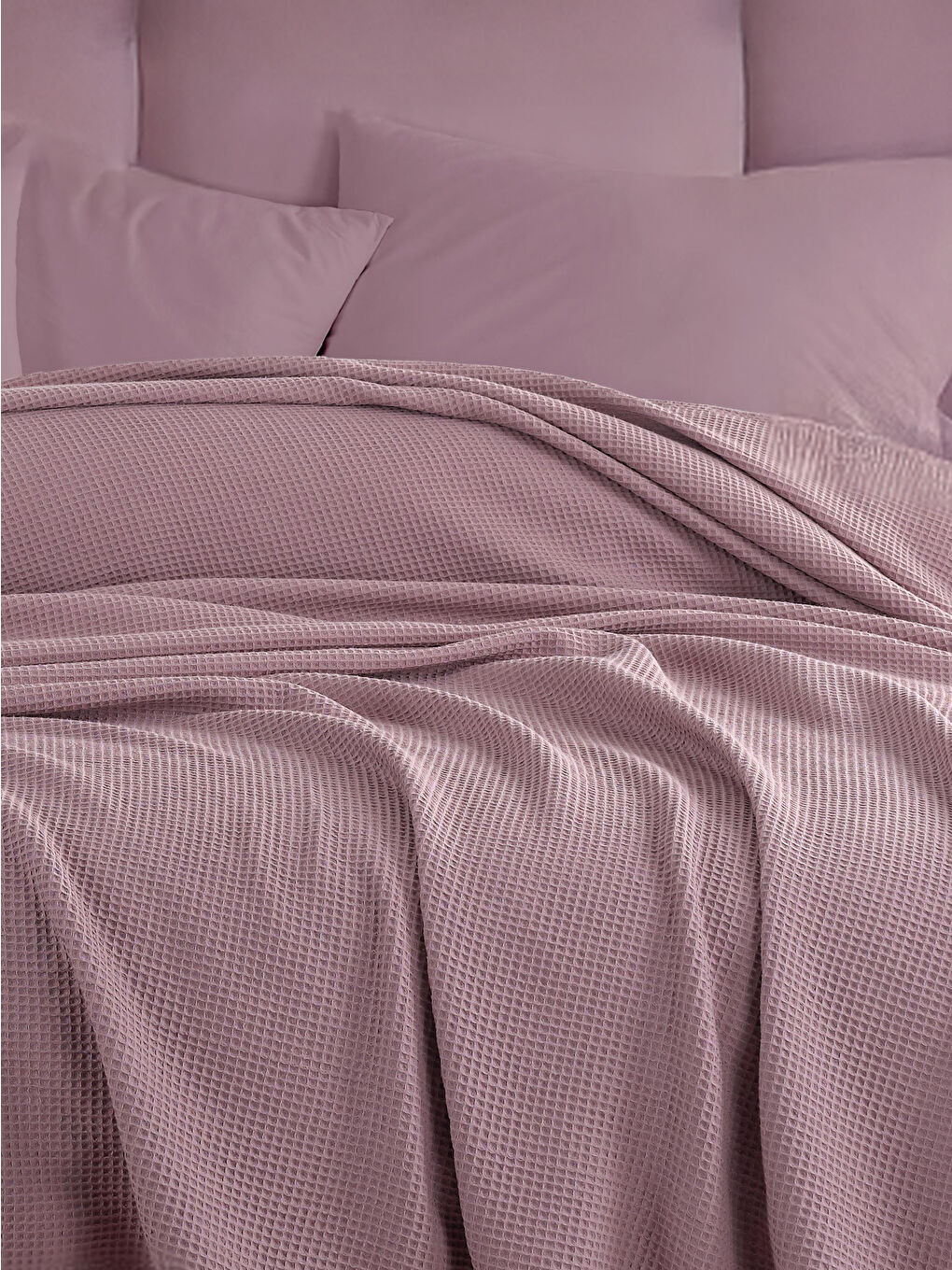 Ecocel Pike Örtü Battal 220x230cm Karde Mürdüm-2