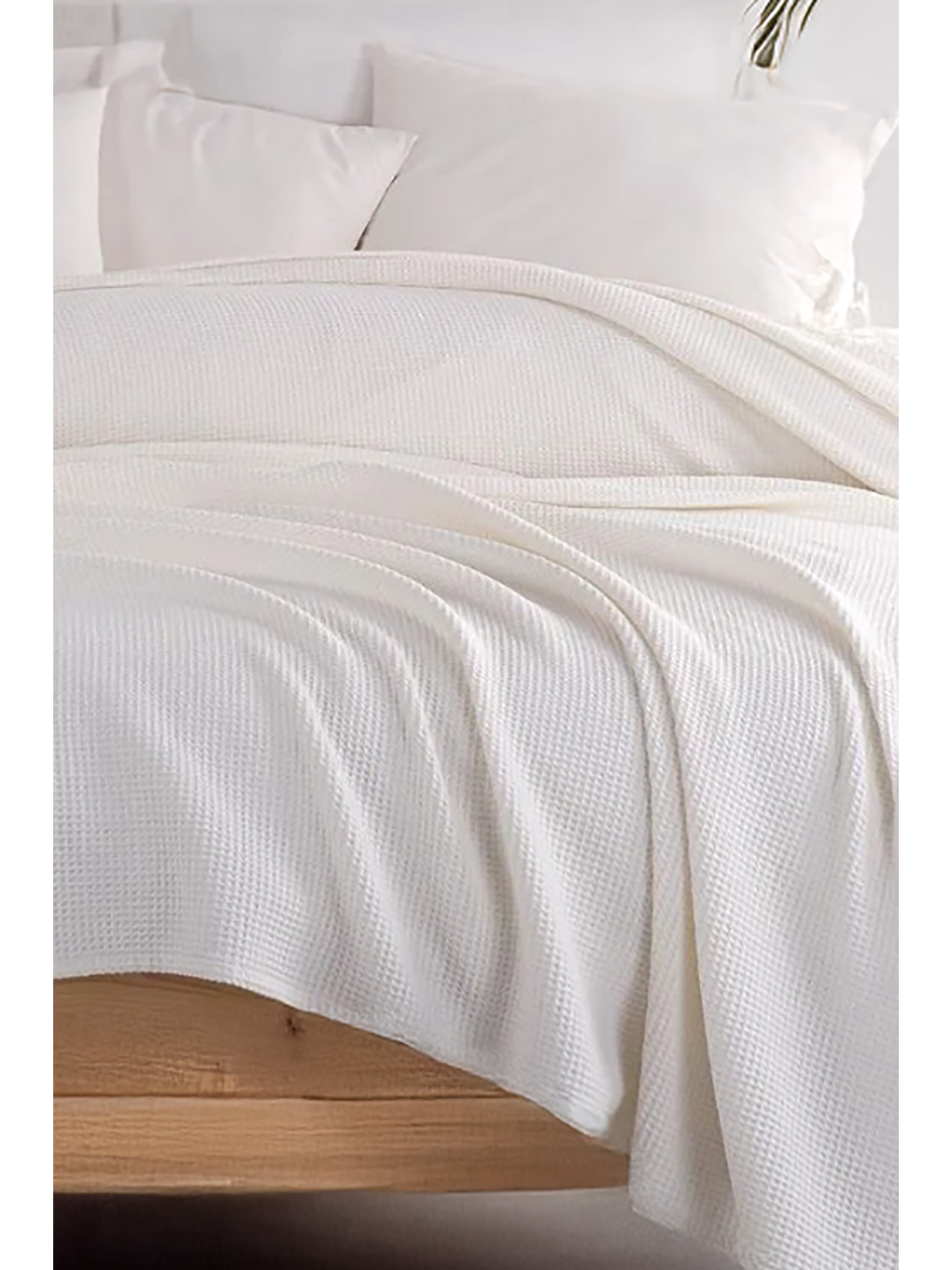 Ekru Ecocel Pike Örtü Battal 220x230cm Karde Krem-2