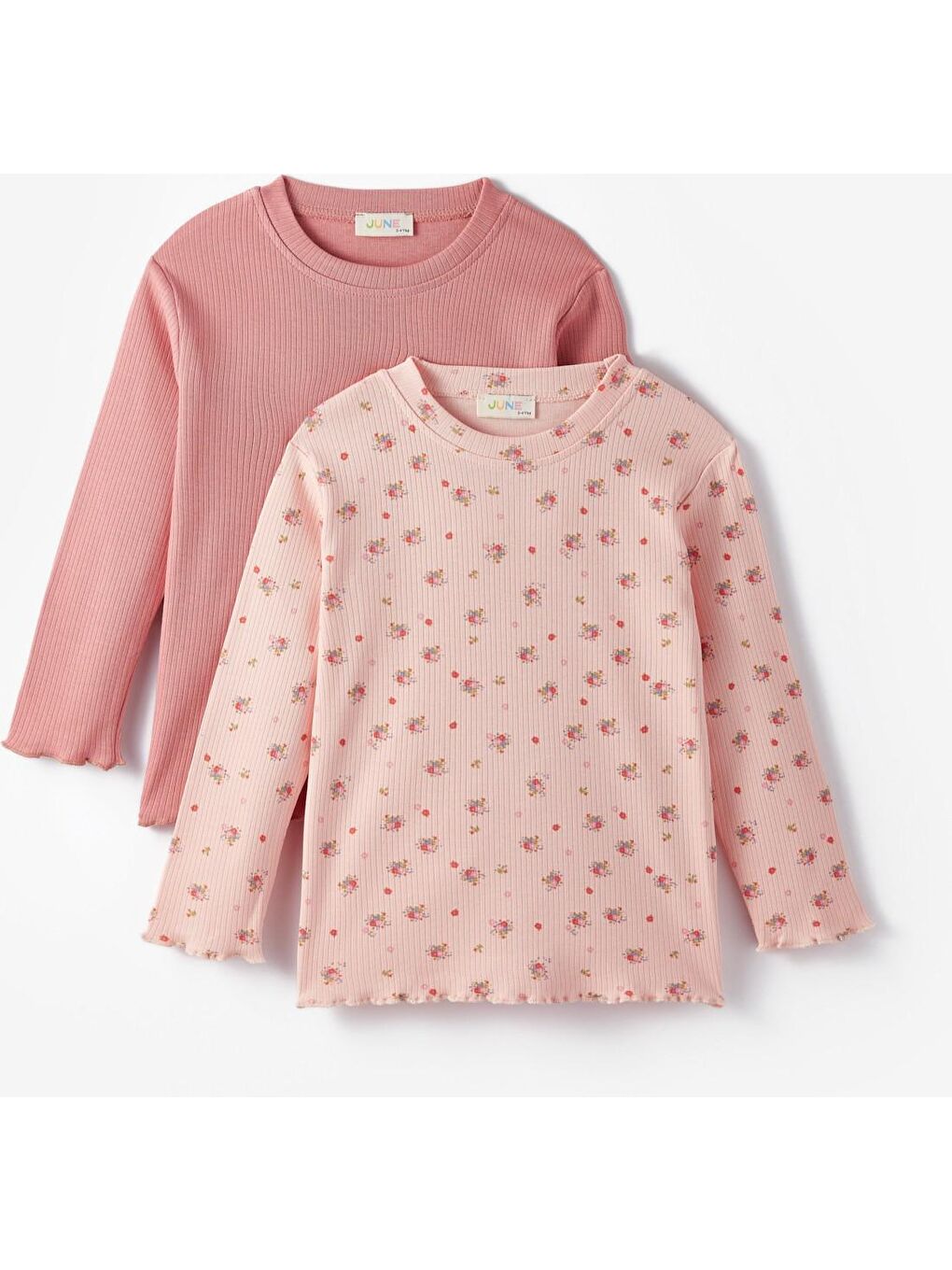 Pembe Kız Cocuk 2Li Nakışlı Ve Basic Uzun Kol Tshirt