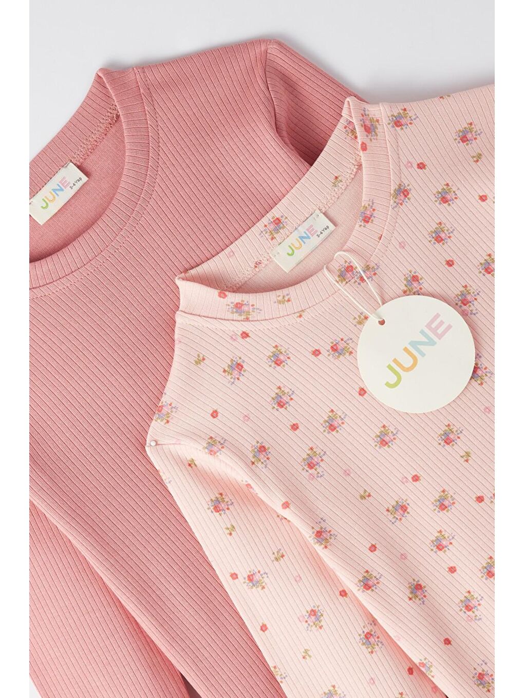 Pembe Kız Cocuk 2Li Nakışlı Ve Basic Uzun Kol Tshirt-2