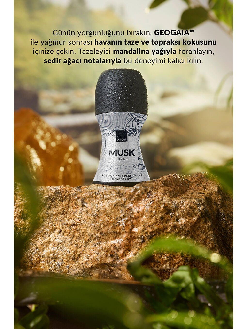 Musk Rain Musk Exhale Erkek Parfüm ve Rollon Paketi-3