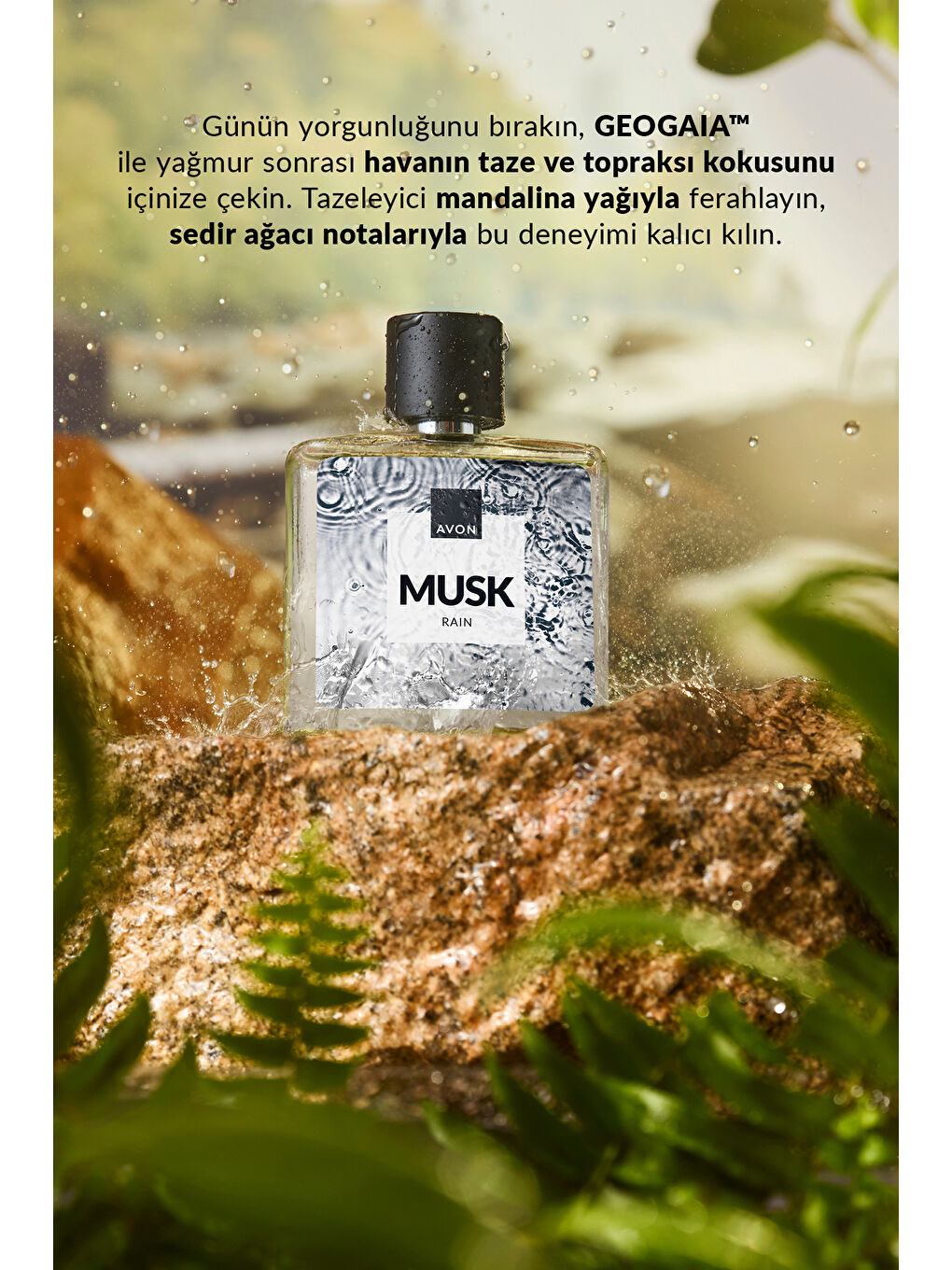 Musk Rain Erkek Parfüm ve Rollon Paketi-1