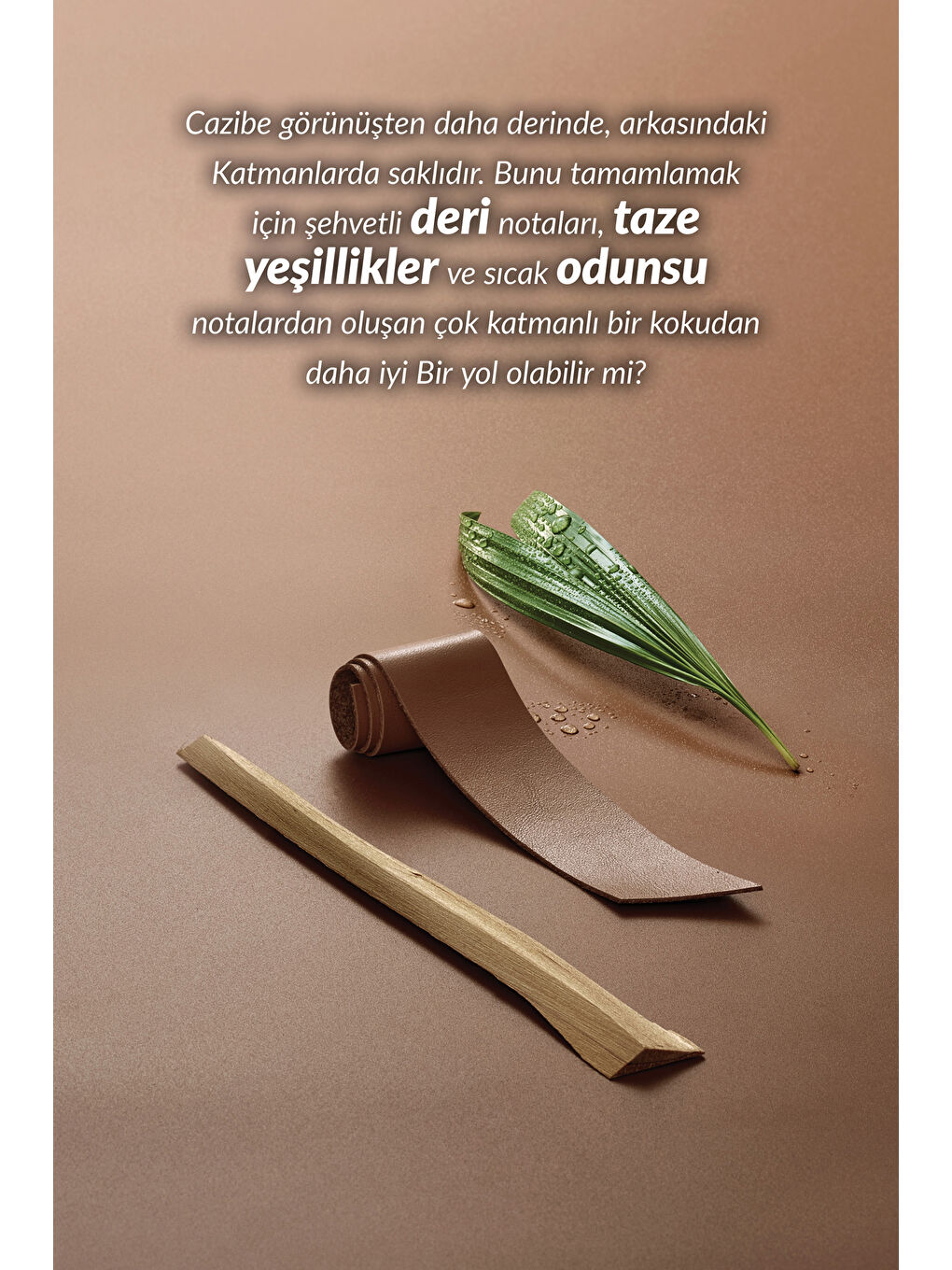 Black Suede Klasik Black Suede Charm ve Touch Erkek Rollon Paketi-6