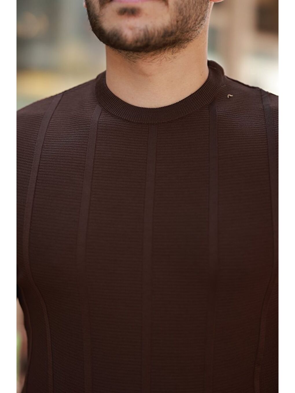 Kahverengi Erkek Desenli Çizgi Kabartmalı Kısa Kollu Tişört-2