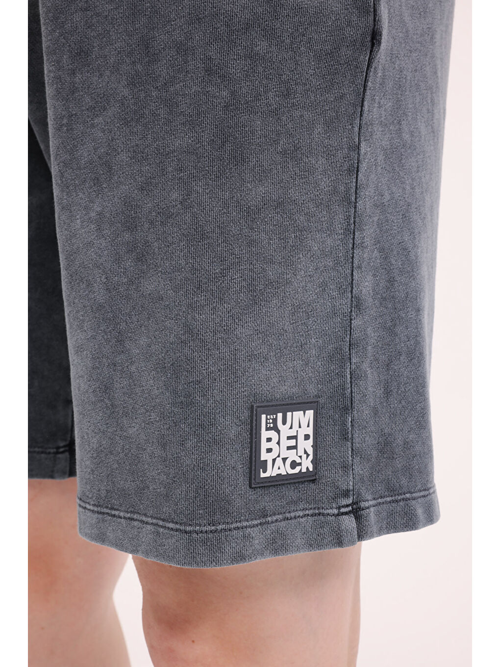 Karışık ML LEVI 20SK1019 5FX A ANTRASIT Erkek Şort-4