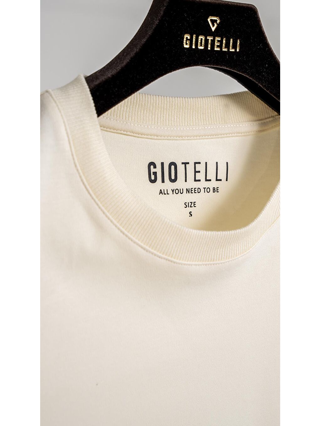 Giotelli Ekru Regular Fit %100 Pamuk Bisiklet Yaka Erkek Tişört-2