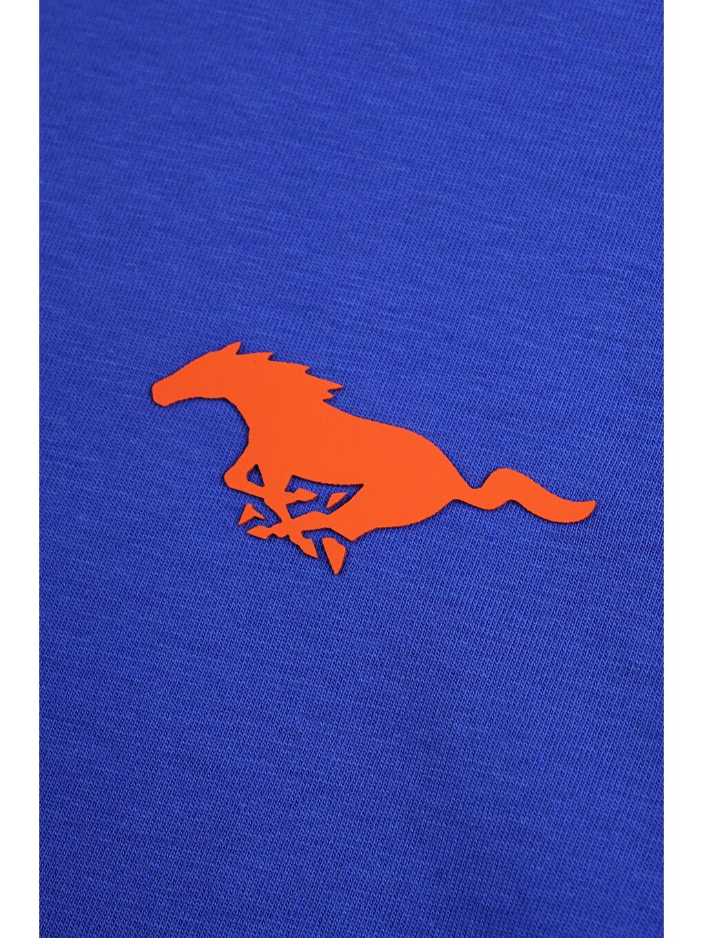 Mavi Bisiklet Yaka Kısa Kol Baskılı Saks Renk Erkek Çocuk Tshirt-2