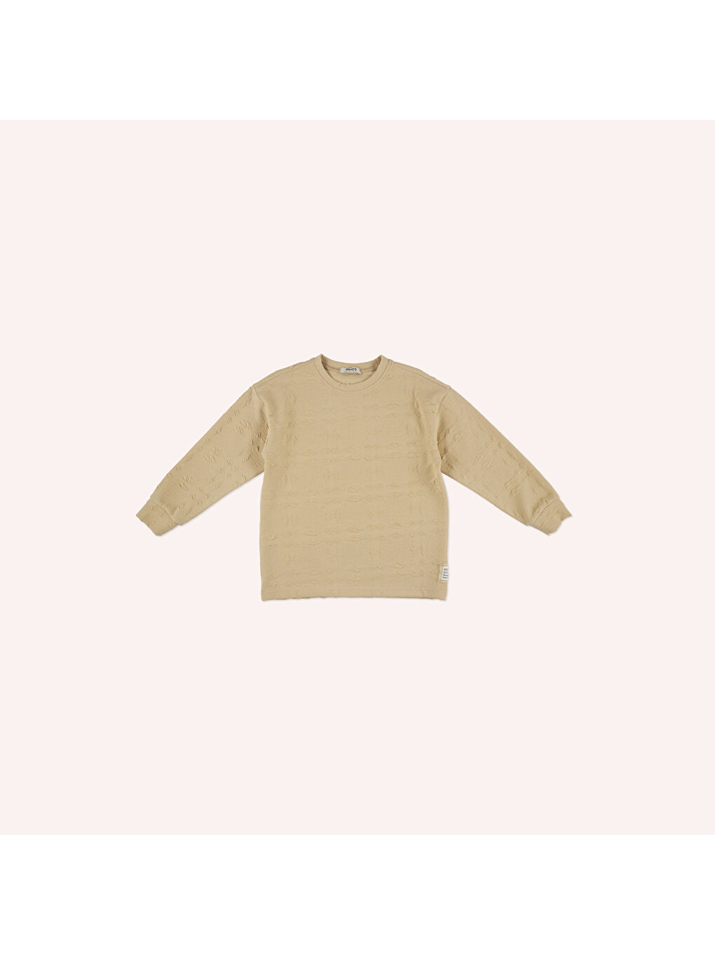 Bej Erkek Çocuk Sweatshirt-3