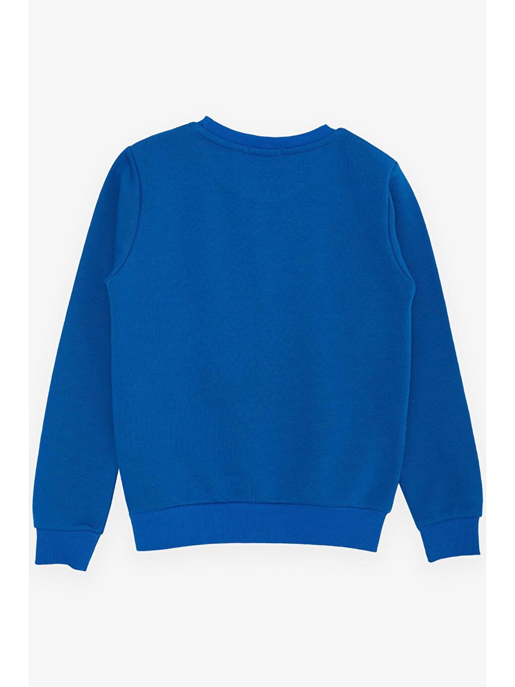Erkek Çocuk Sweatshirt Yazı Baskılı Saks Mavisi (8-14 Yaş)-1