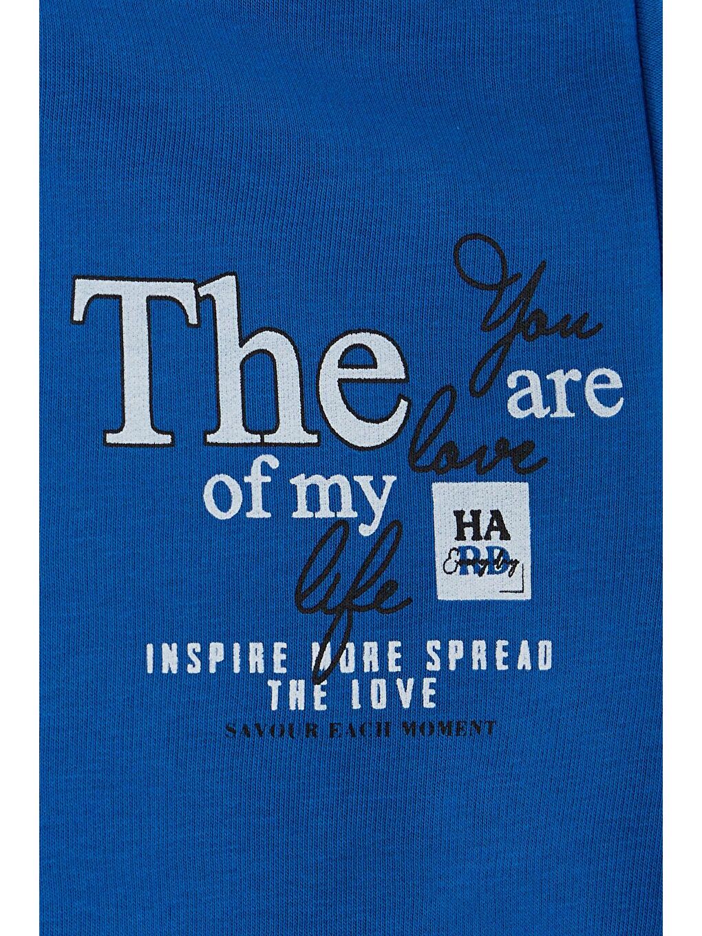 Erkek Çocuk Sweatshirt Yazı Baskılı Saks Mavisi (8-14 Yaş)-3