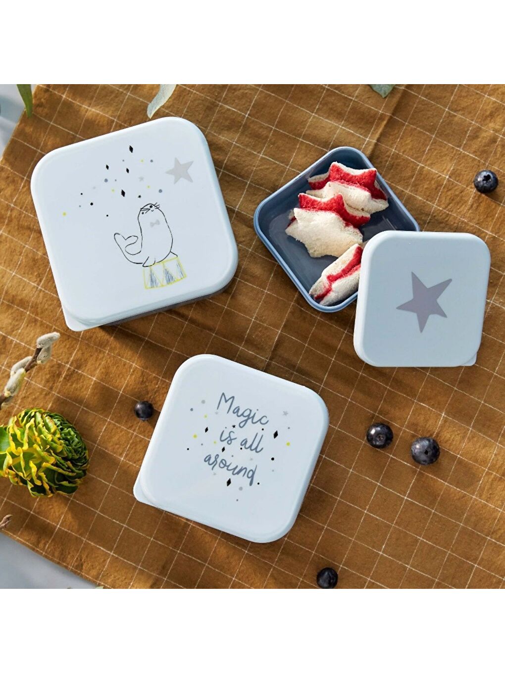 Sihirli Mühür 3'lü beslenme Seti-3