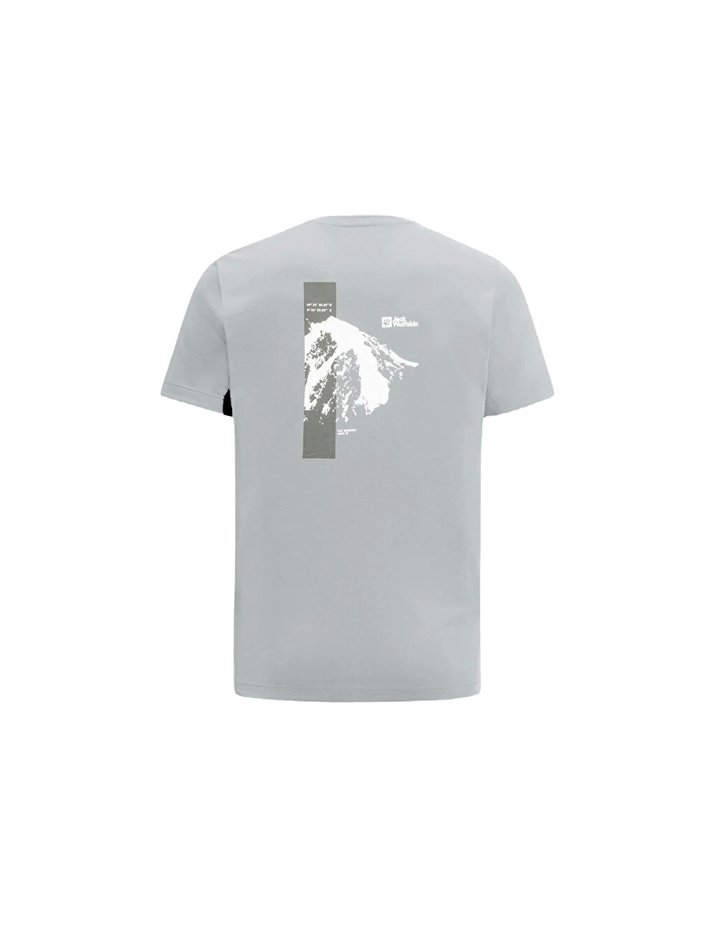 Gri Vonnan S/s Graphic T Erkek Tişört-4