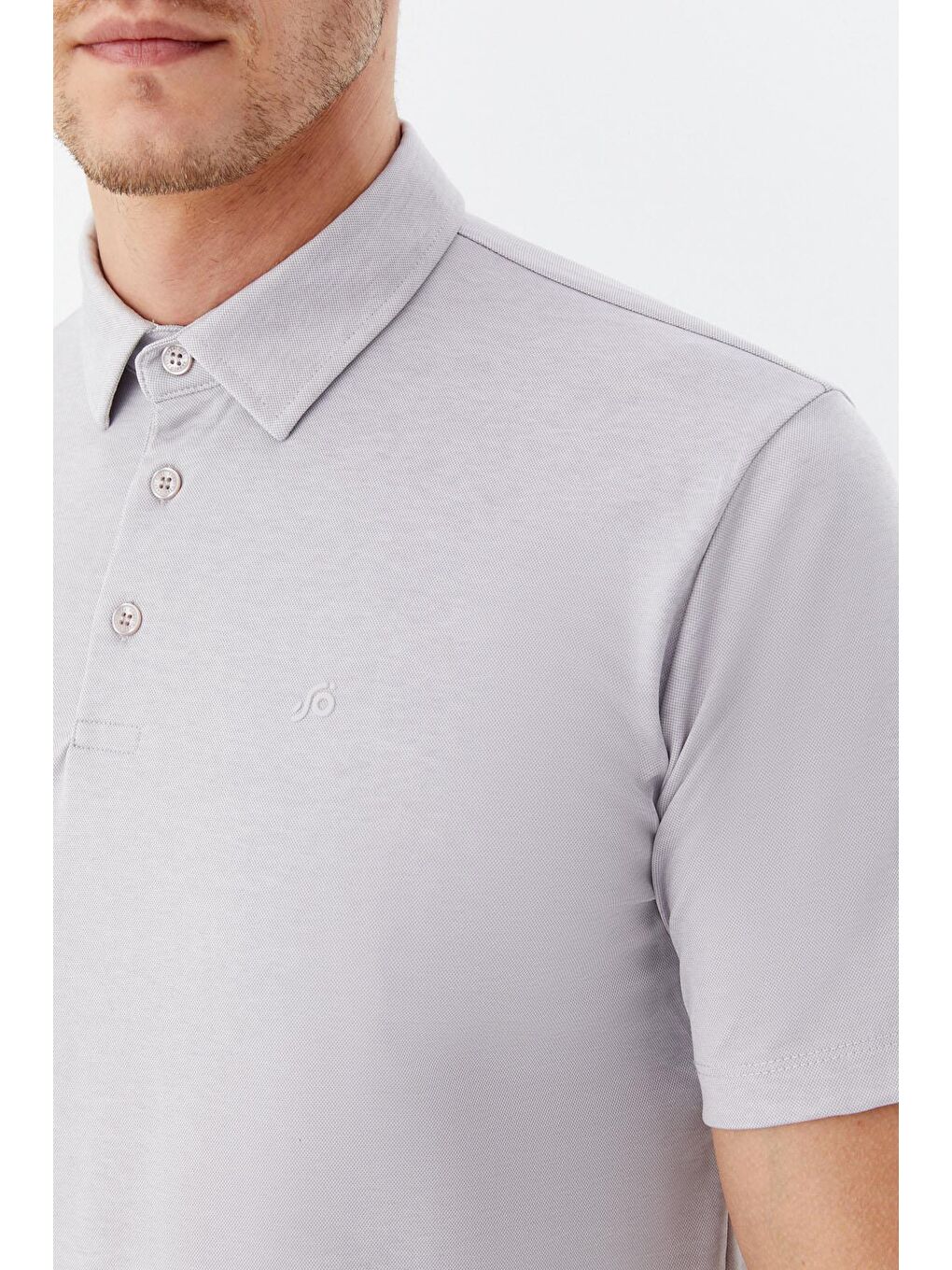 Erkek Gri Standart Fit Polo Yaka Tişört – Kısa Kollu-2