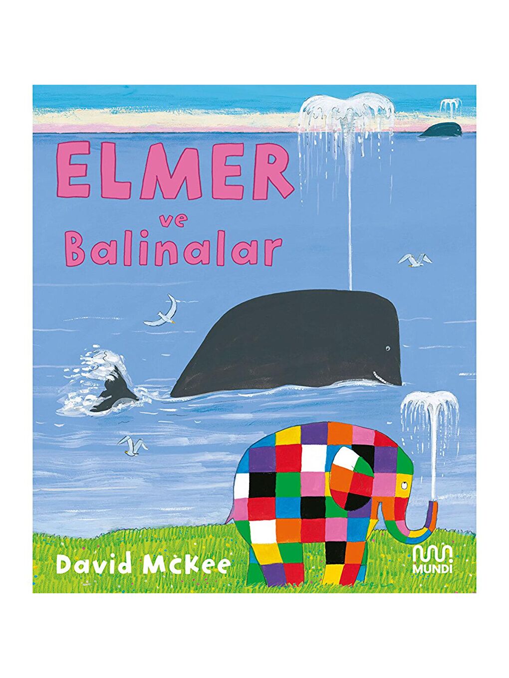 Mundi Karışık Elmer ve Balinalar - David McKee