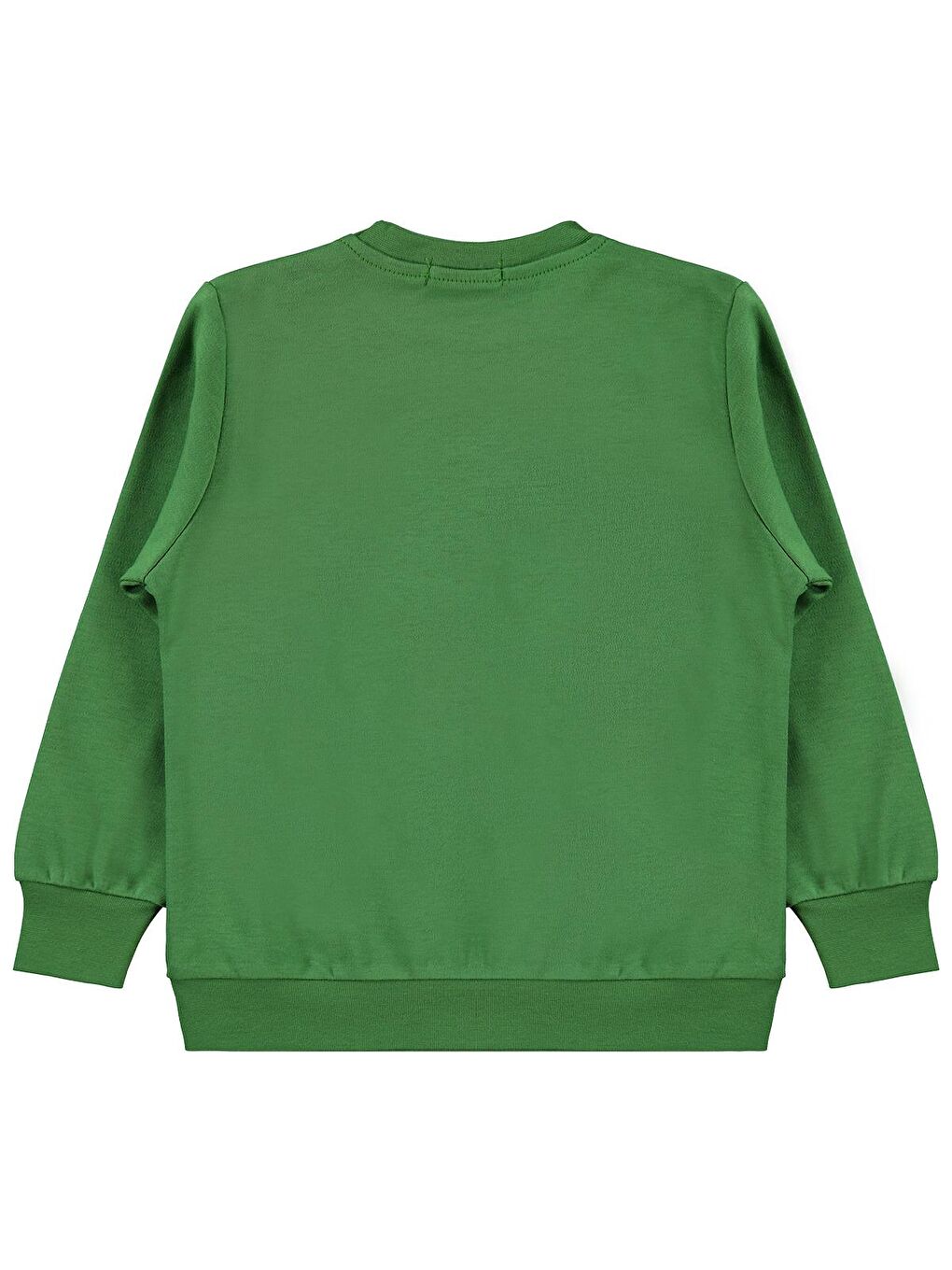 Boys Kaykay Canavar Baskılı 2-5 Yaş Sweatshirt - Yeşil 4-5 Yaş-1