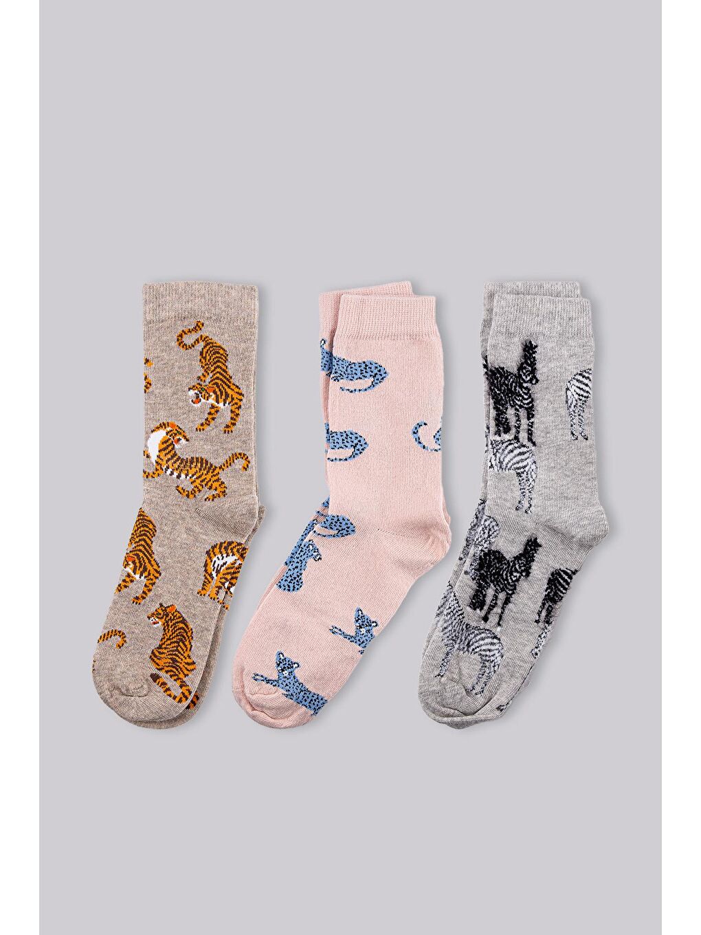 Karışık Kadın 3lü Hayvan Desenli Soket Çorap Kutulu-3