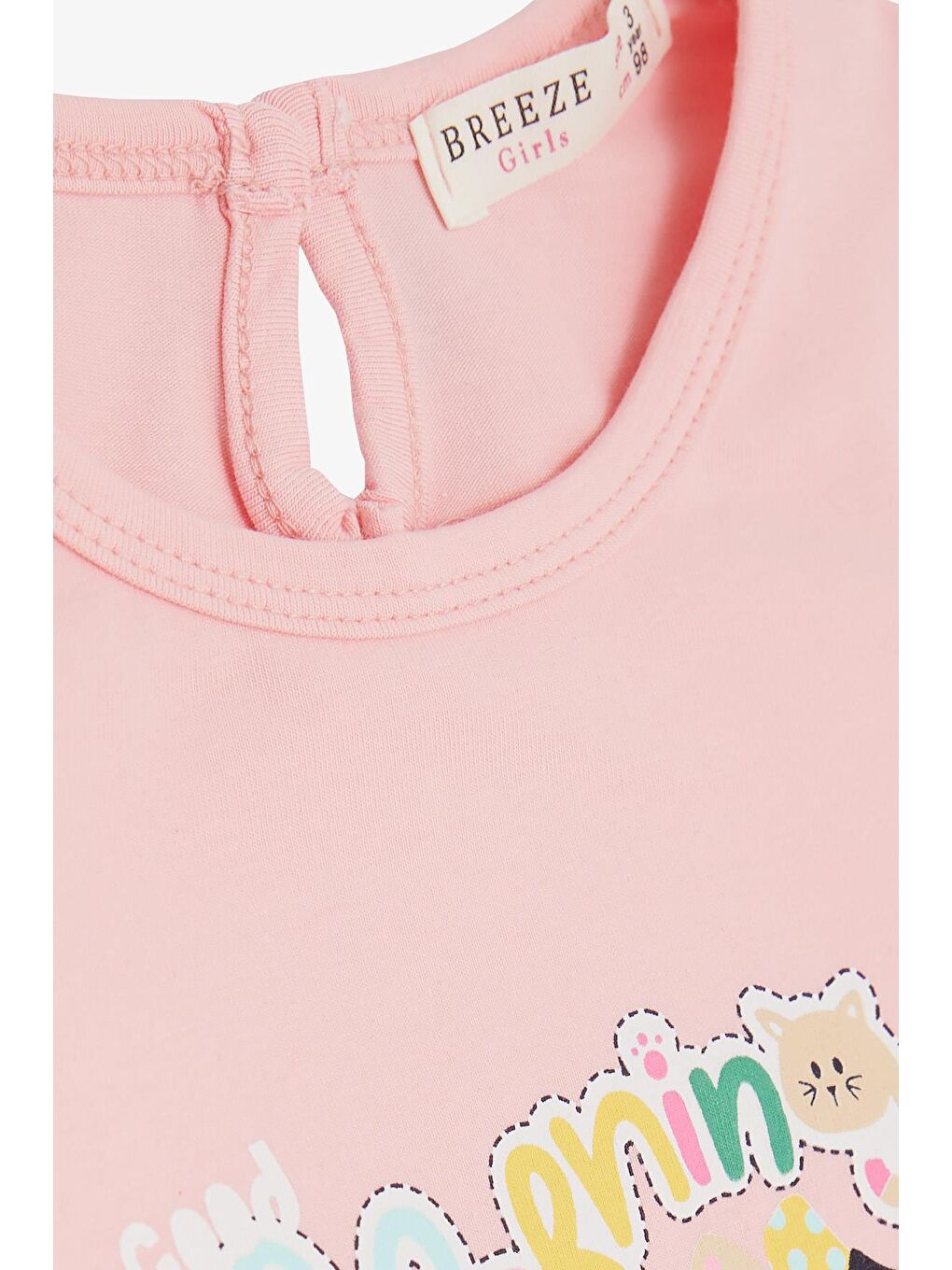 Kız Bebek Uzun Kollu Tişört Neşeli Kedicik Baskılı Nakış Güpürlü Pembe (9 Ay-3 Yaş)-2
