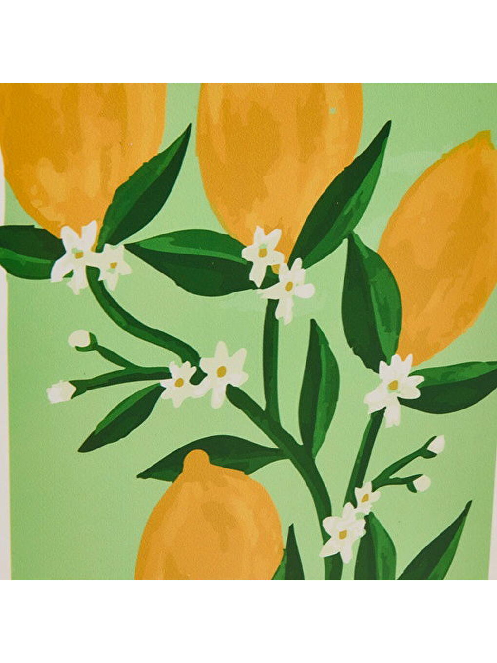Deco Lime Cello Duvar Panosu - Sarı - 30x40 cm-5