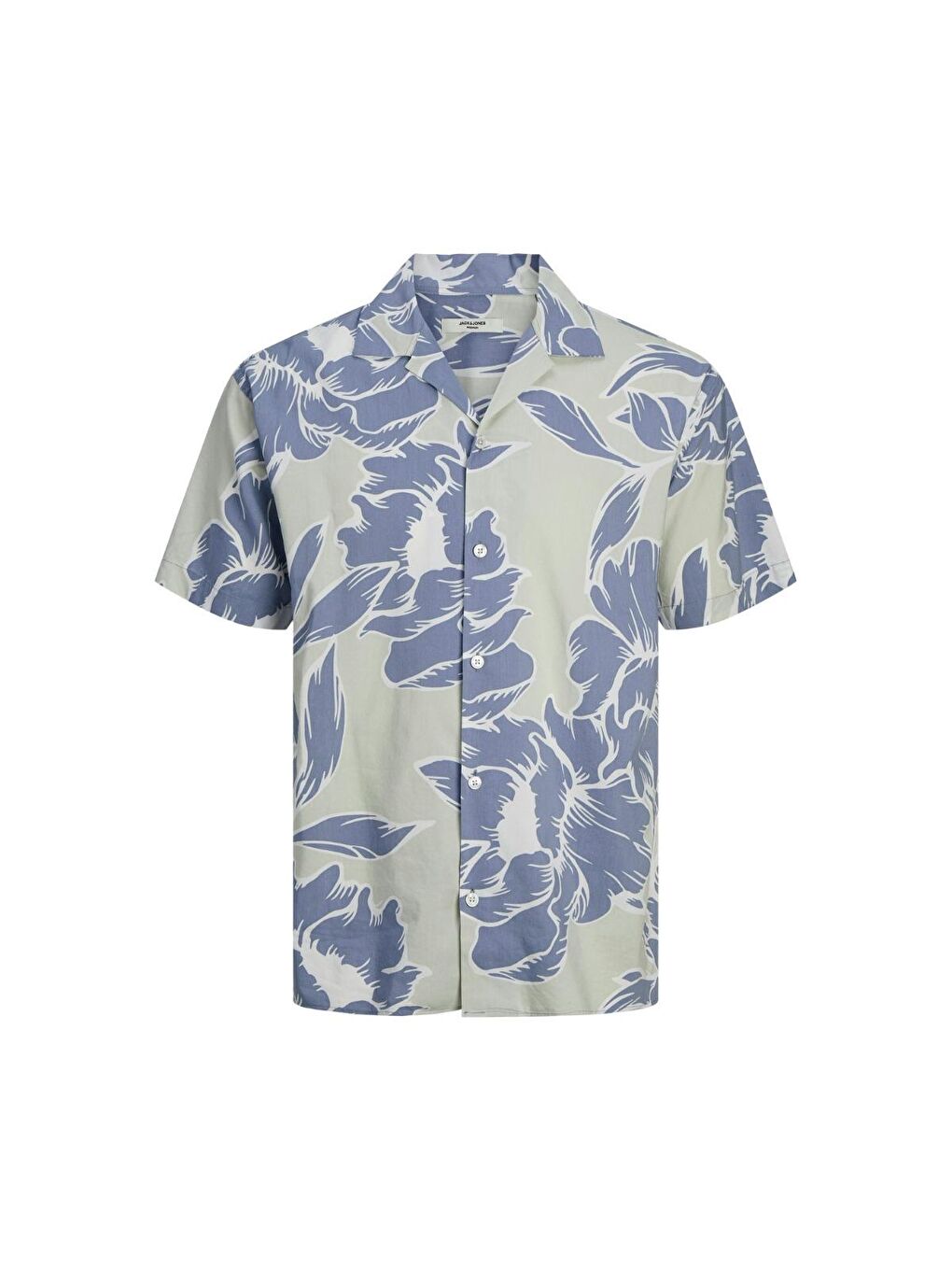 Blapalma Resort Erkek Yeşil Klasik Yaka Gömlek