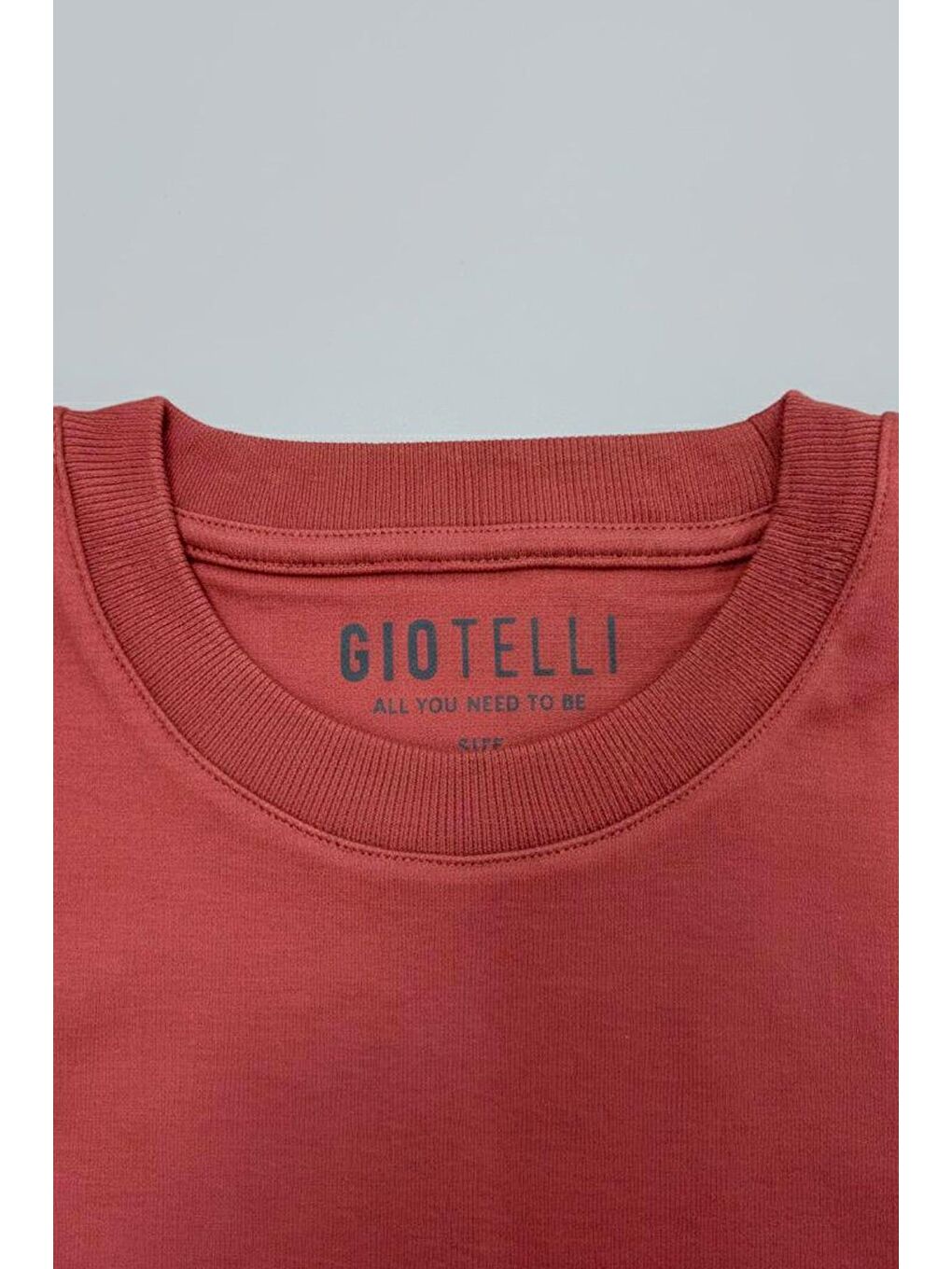 Giotelli Bordo Regular Fit %100 Pamuk Bisiklet Yaka Erkek Tişört-3